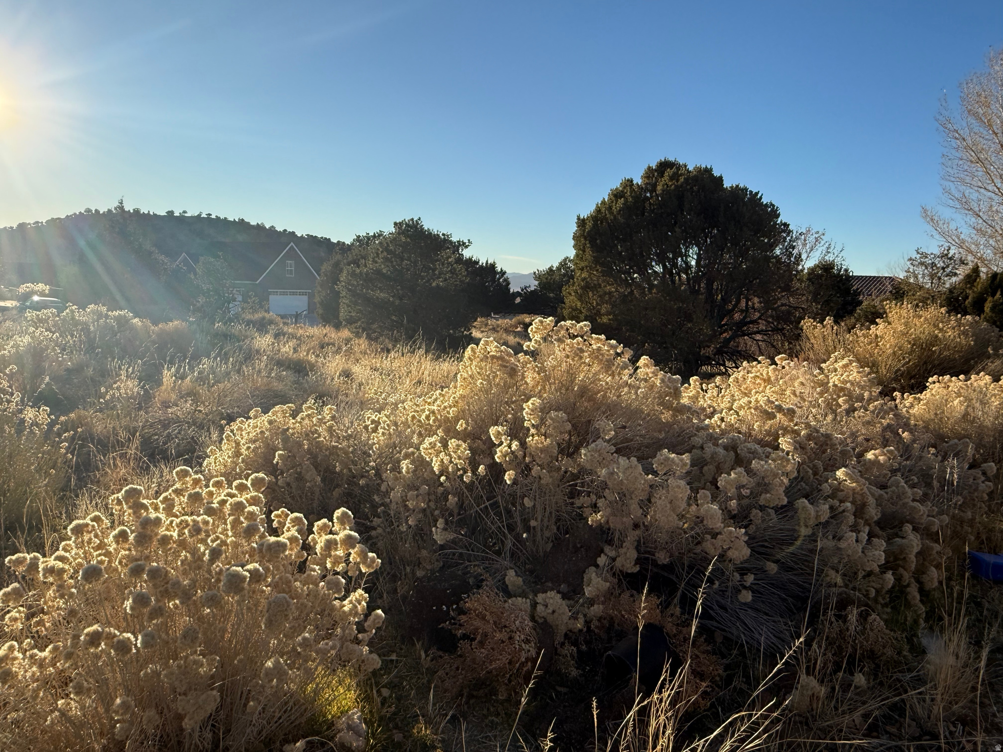 ASHDOWN FOREST - Land