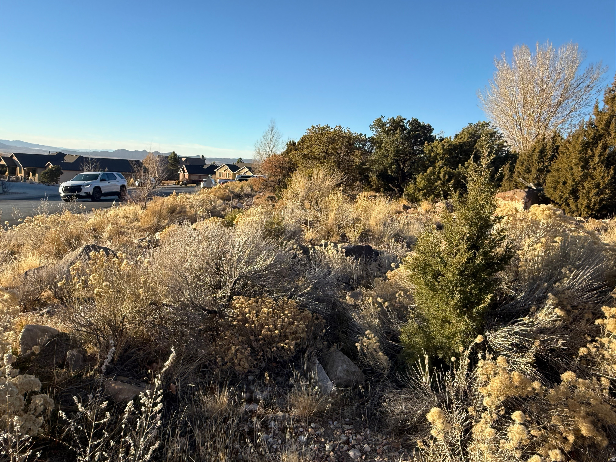 ASHDOWN FOREST - Land