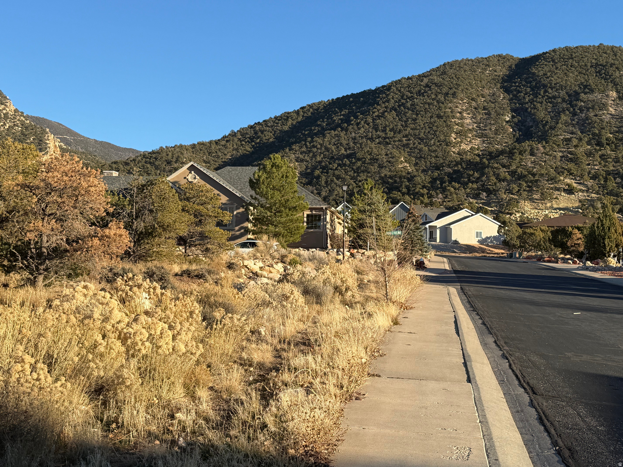 ASHDOWN FOREST - Land