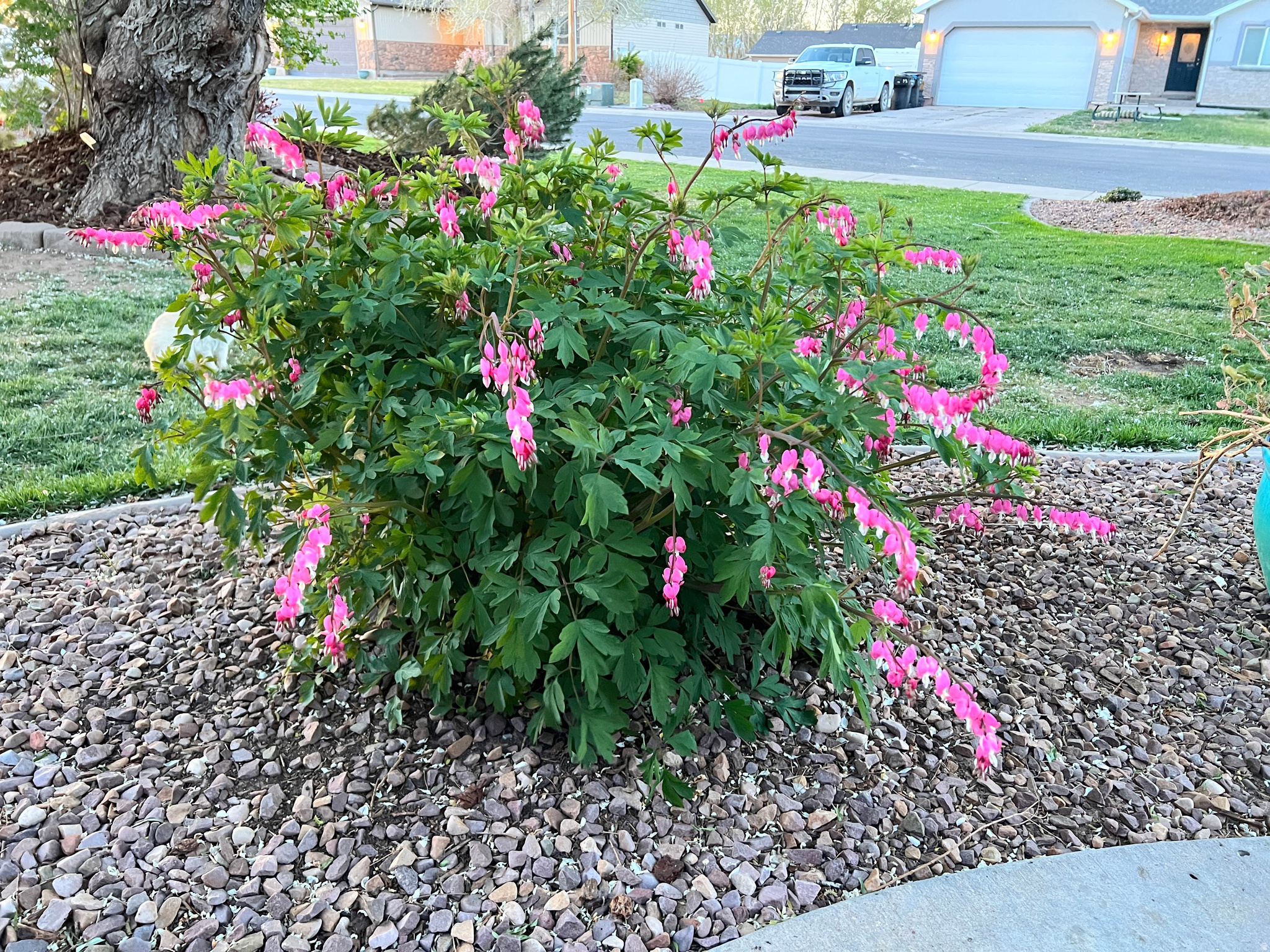 POLELINE - Residential