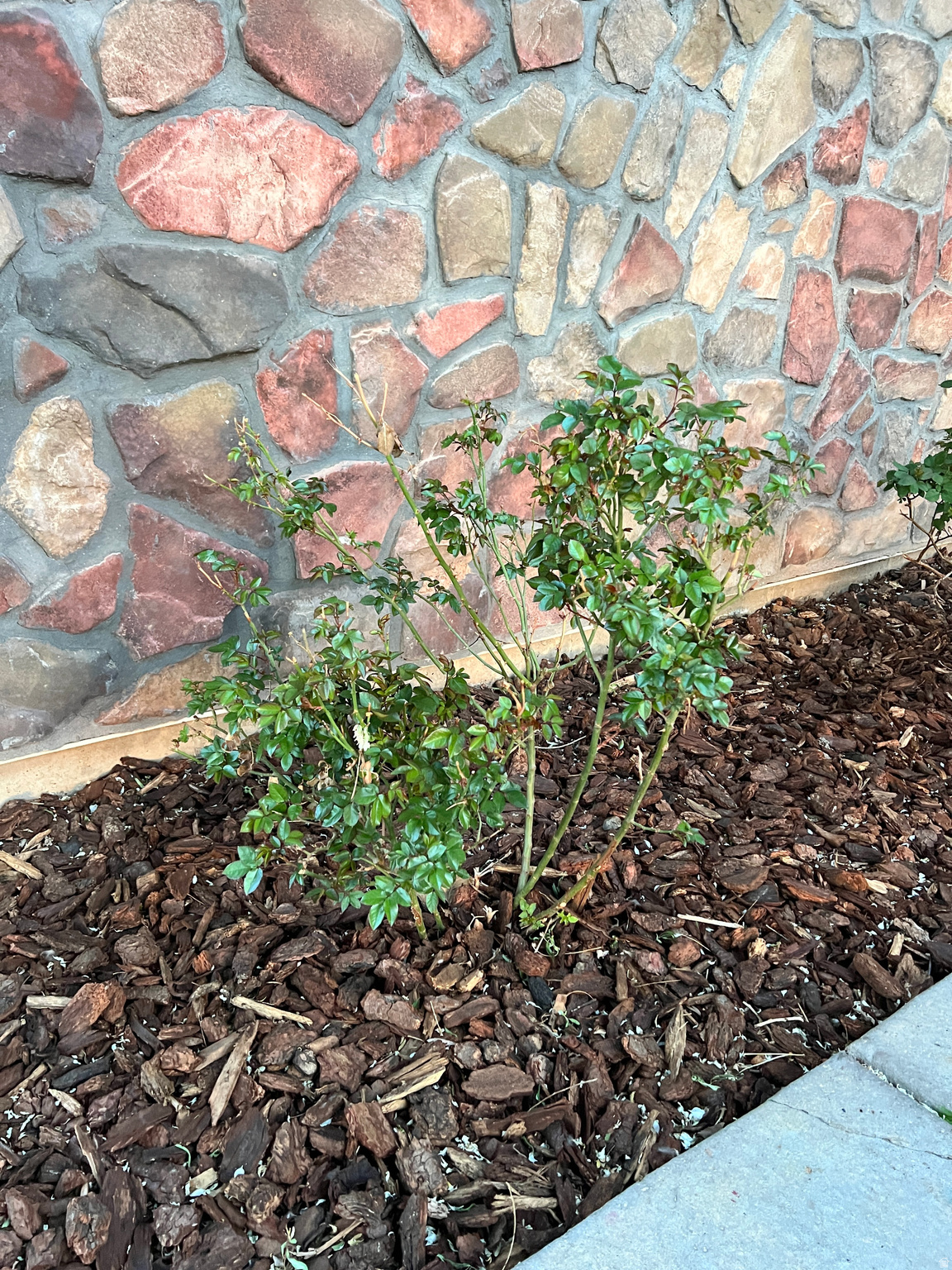 POLELINE - Residential