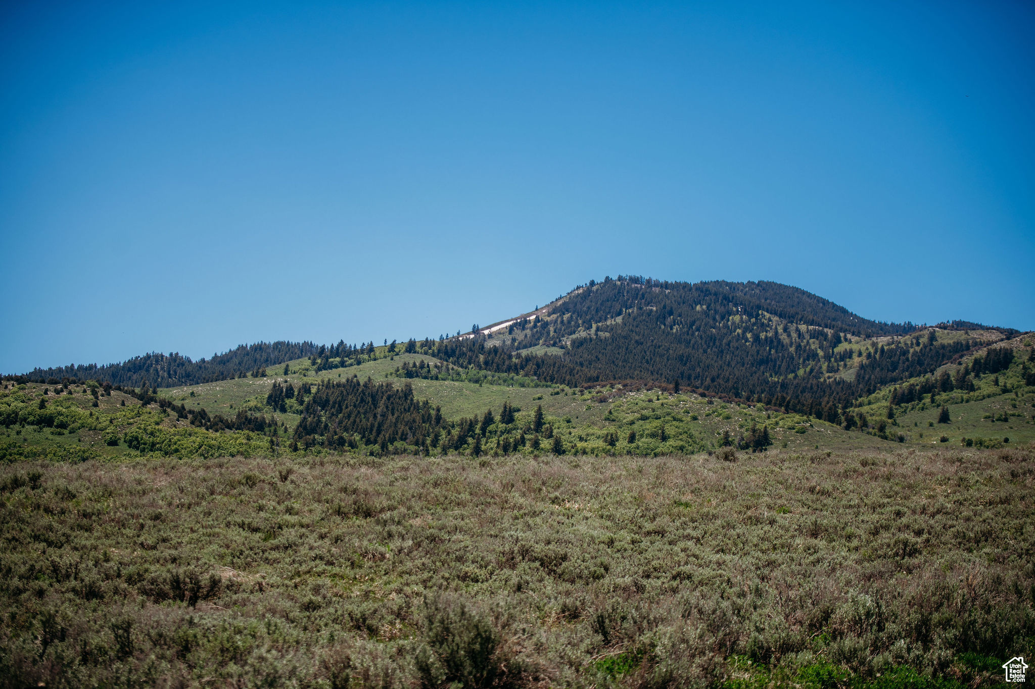 10700 Little Bull Rd #30, Malad City, Idaho image 17