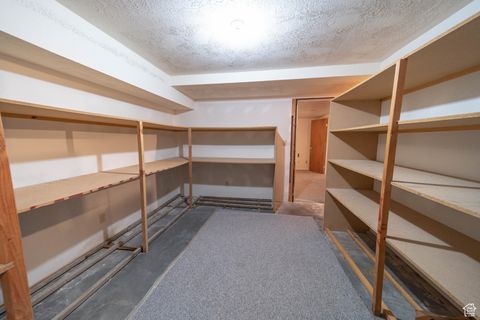 Tiny photo for 1416 W VALLEY VIEW DR, Wellington, UT 84542 (MLS # 2092050)