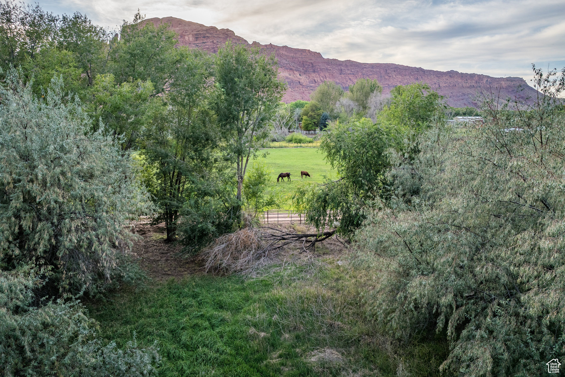 212 N Carmichael Dr, Moab, Utah image 14