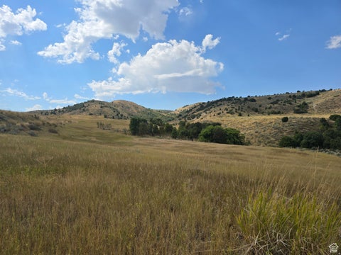 Vacant Land For Sale - 8400 W 8200<br/> Cache County, Newton, UT 84327