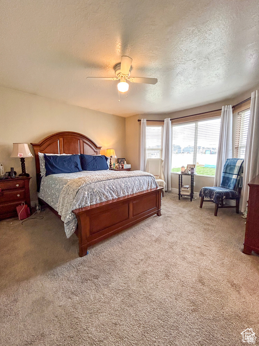 909 E 1520, American Fork, Utah image 14