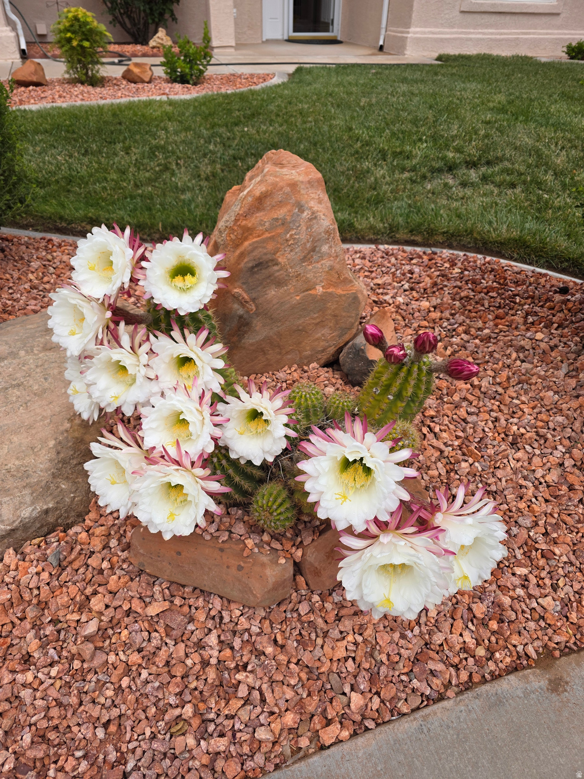 SKY RIDGE HOMESITES 4 - Residential