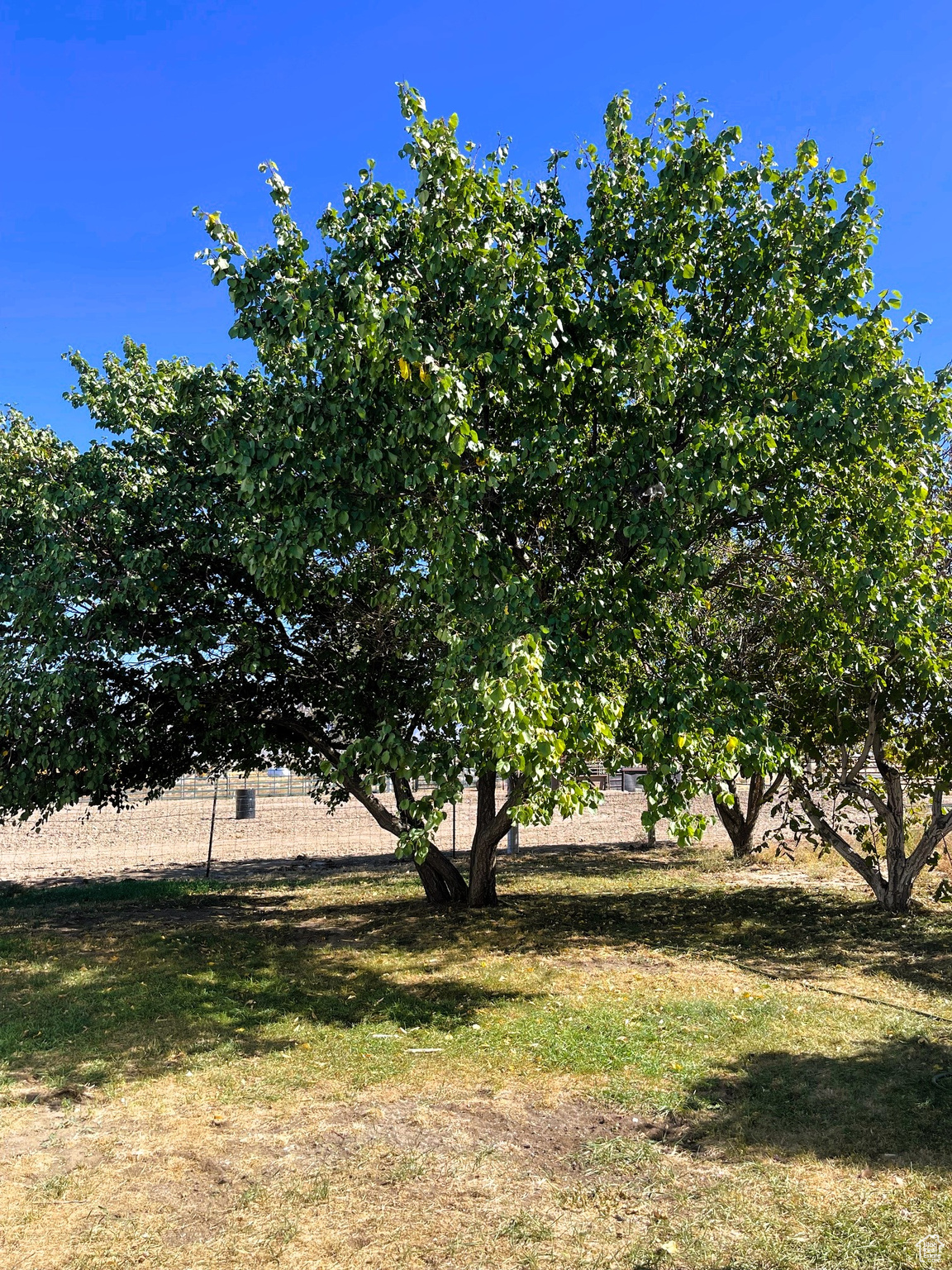 553 E Nygreen St, Grantsville, Utah image 35