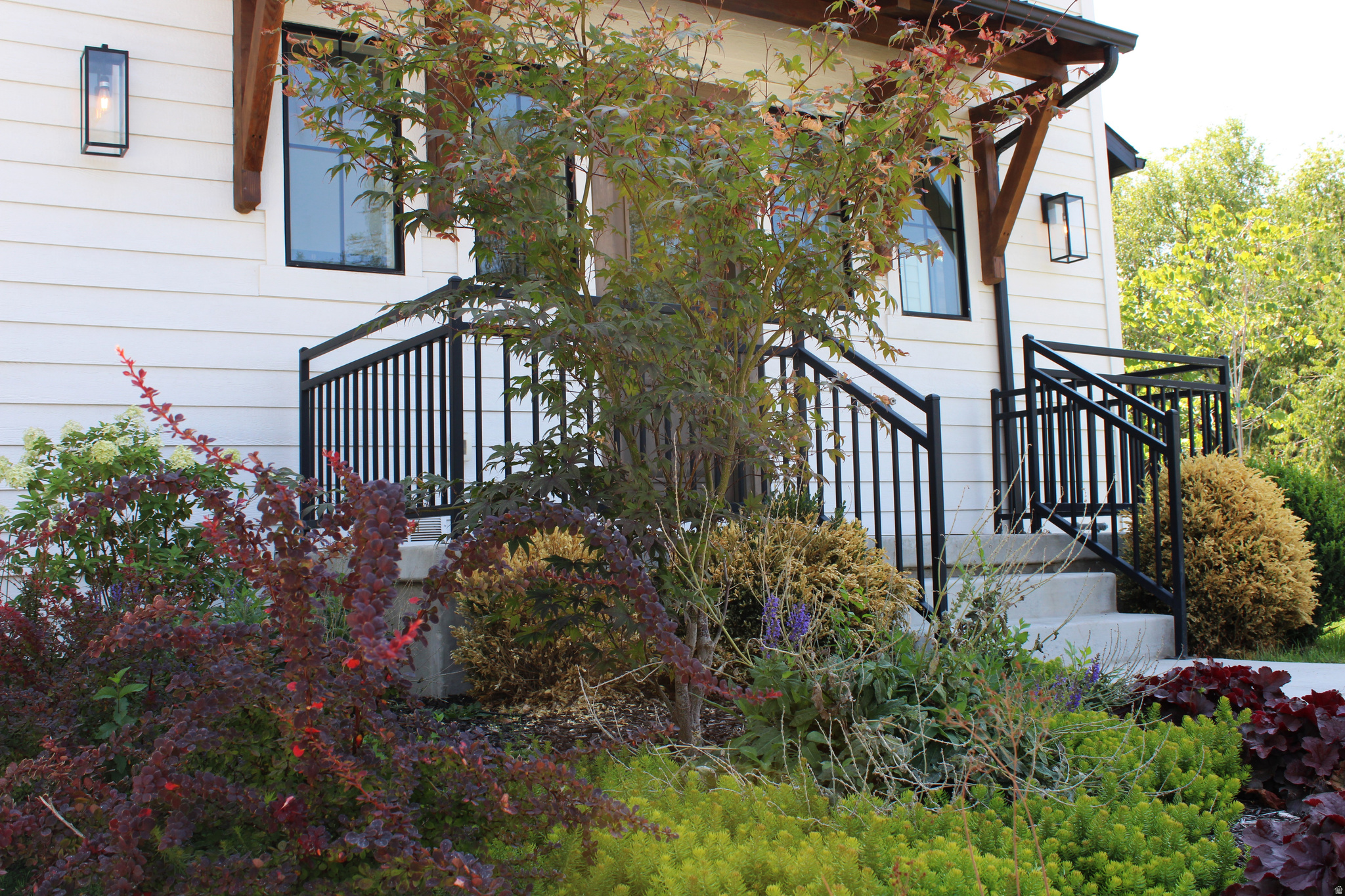 SPRING TERRACE - Residential