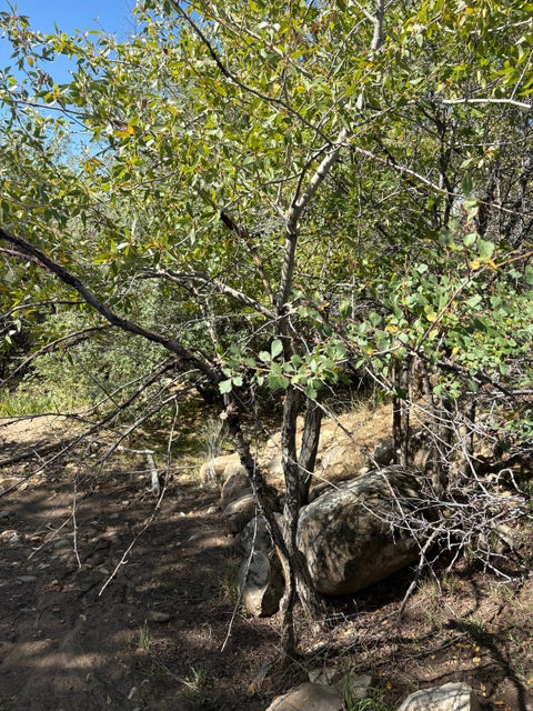 Tiny photo for 18750 N 10856 E #4, Mt Pleasant, UT 84647 (MLS # 2186406)