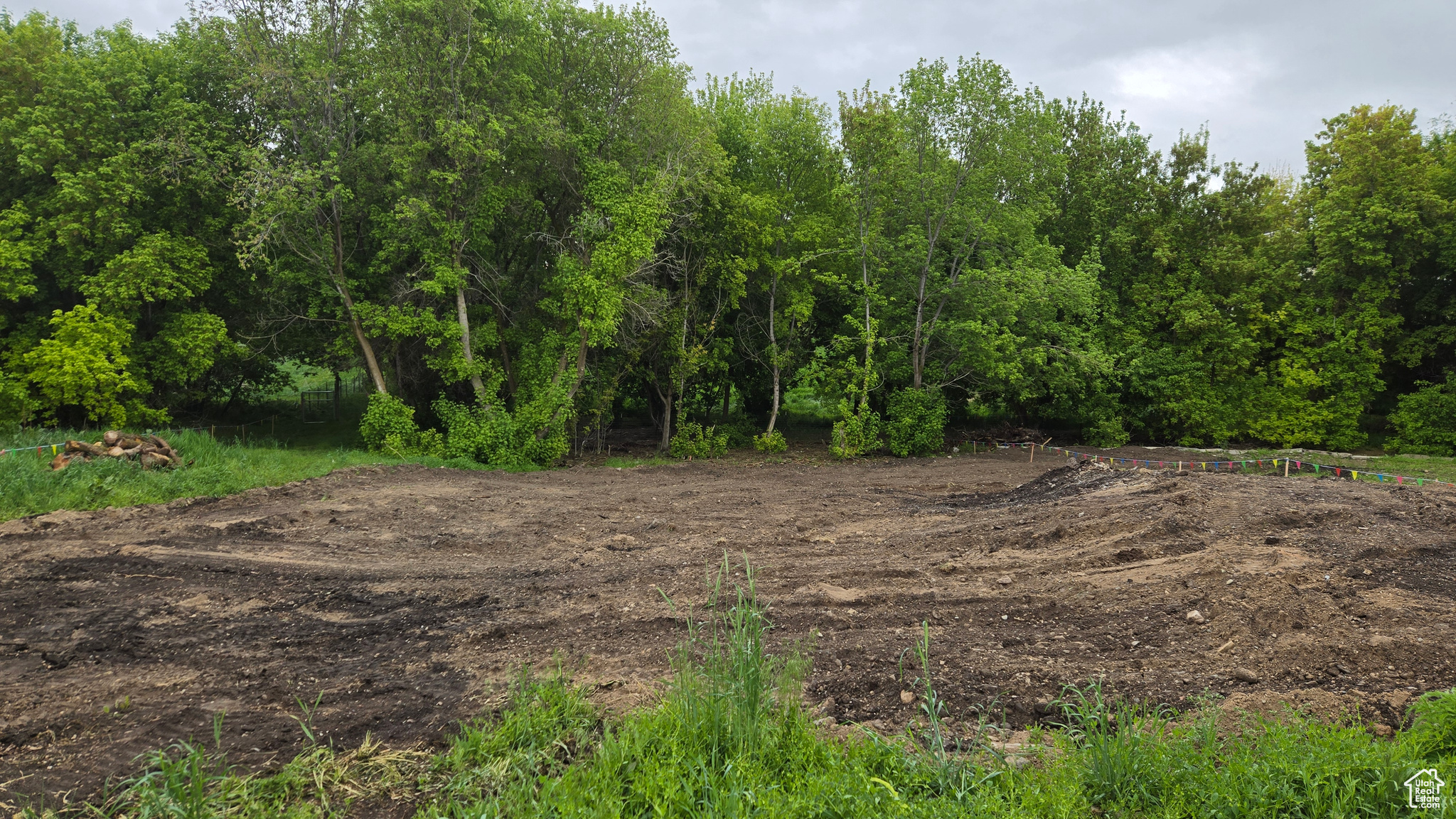 Beautiful lot with mature trees and great location. Right next to Hyrum State Park. Great view of the Wellsville mountains. Build your dream house here! No parking allowed on city street. Owner Agent. Buyer to verify all information.