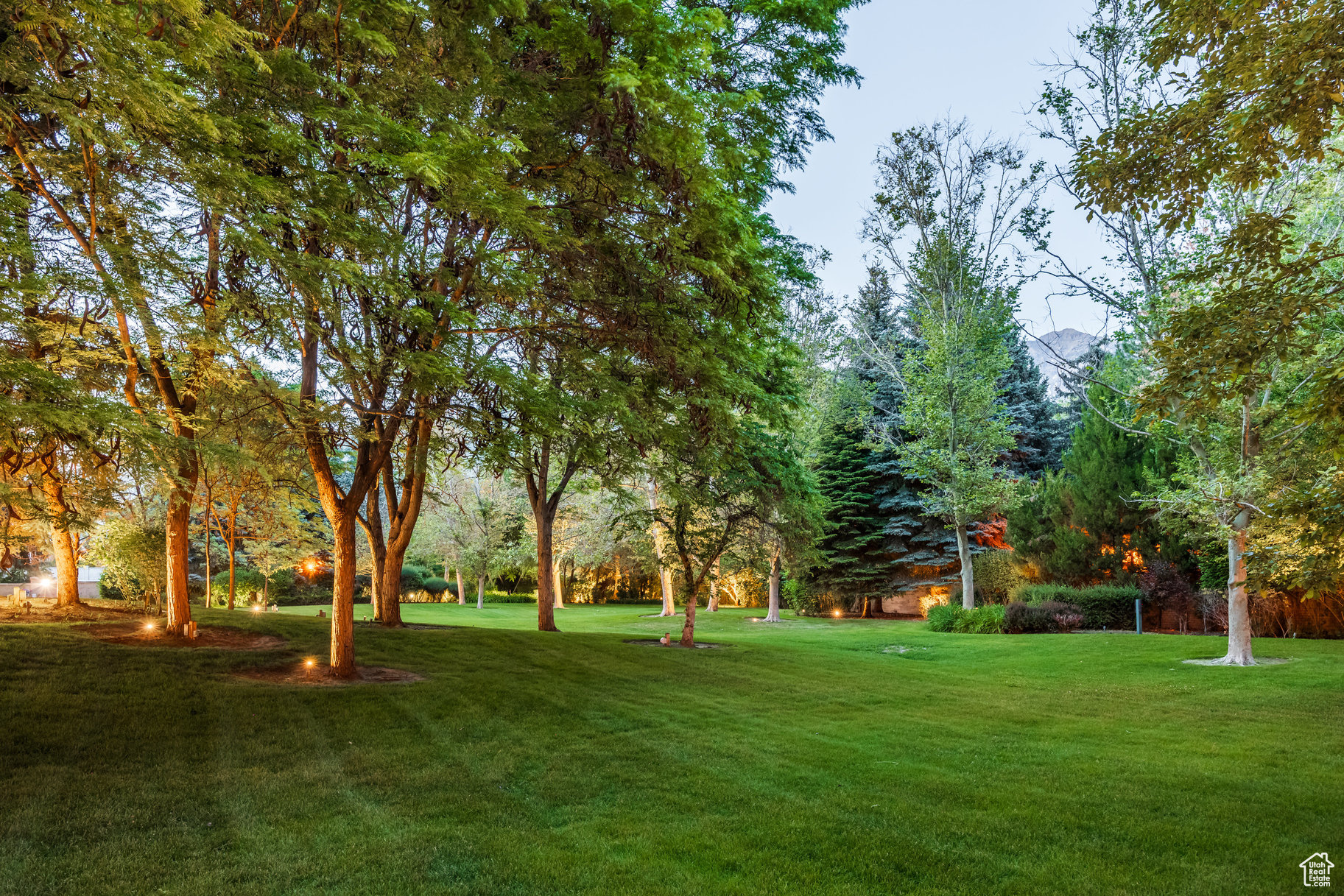 OLD ORCHARD ESTATES - Residential