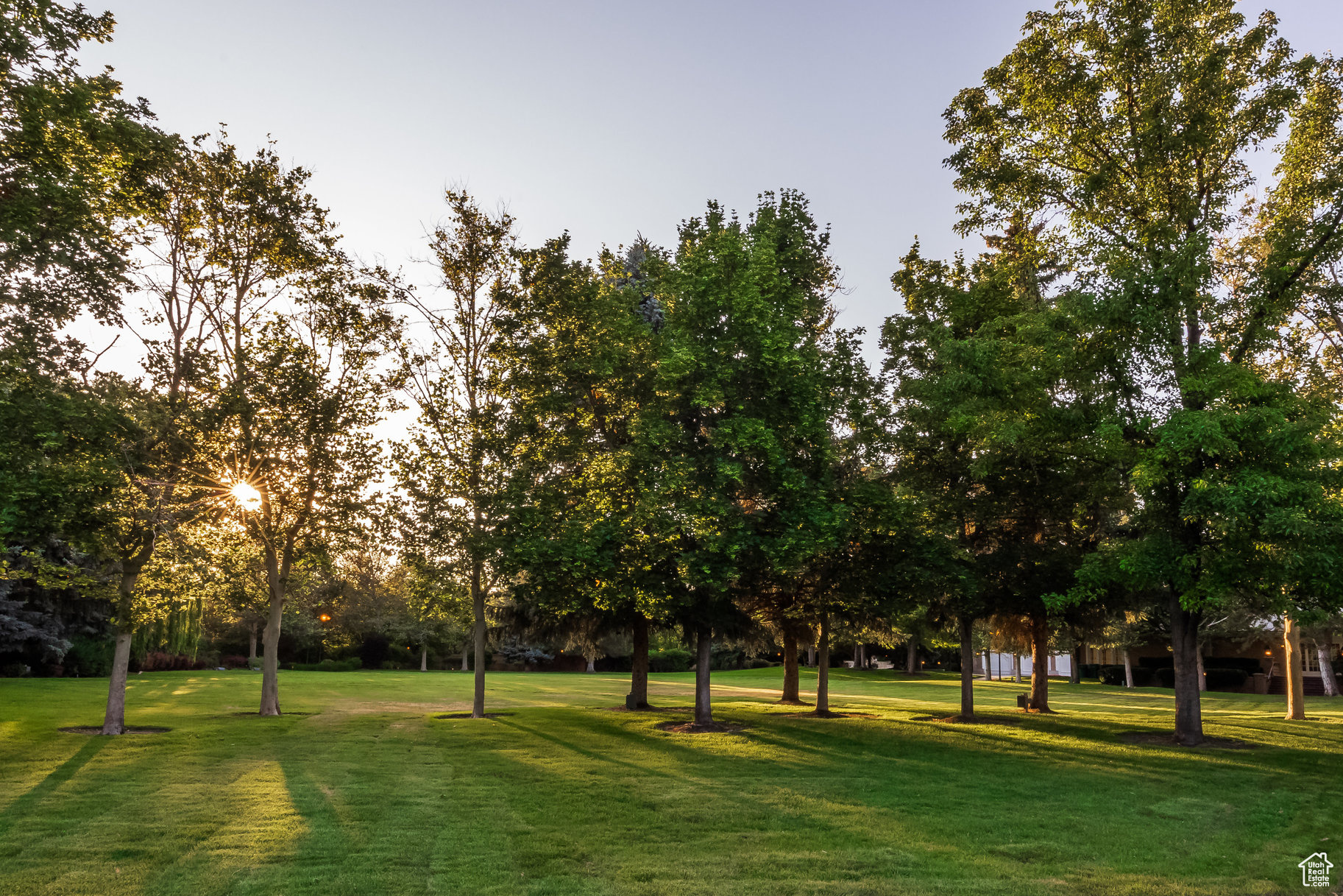 OLD ORCHARD ESTATES - Residential