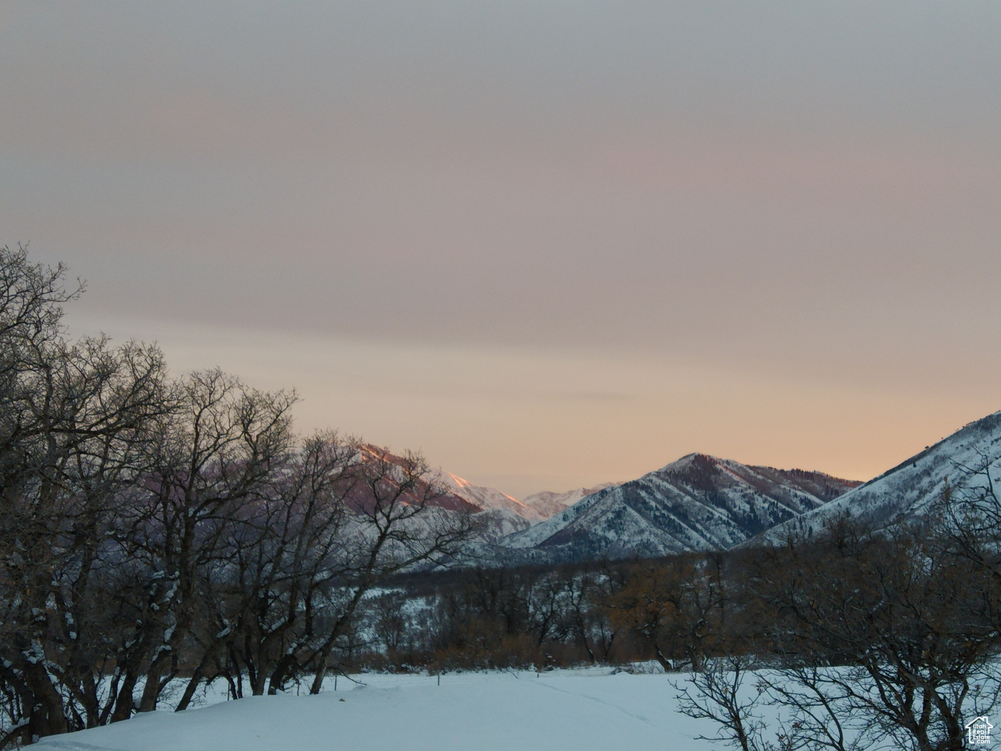 2 Upper Wittemore #2, Springville, Utah image 4