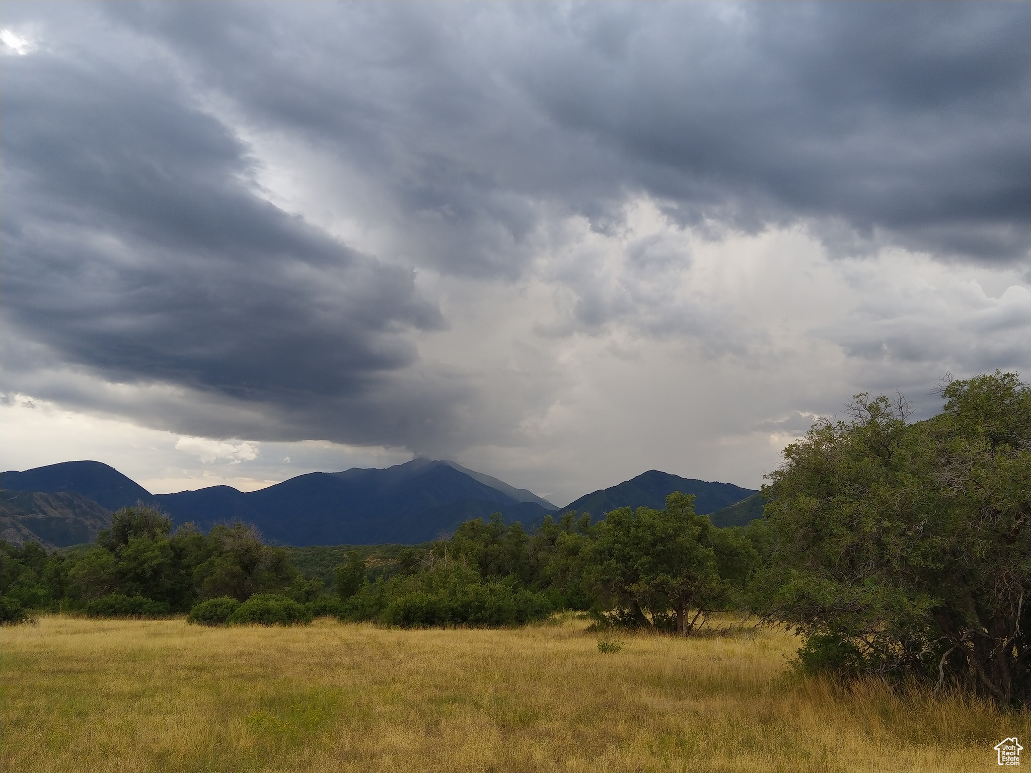 2 Upper Wittemore #2, Springville, Utah image 3