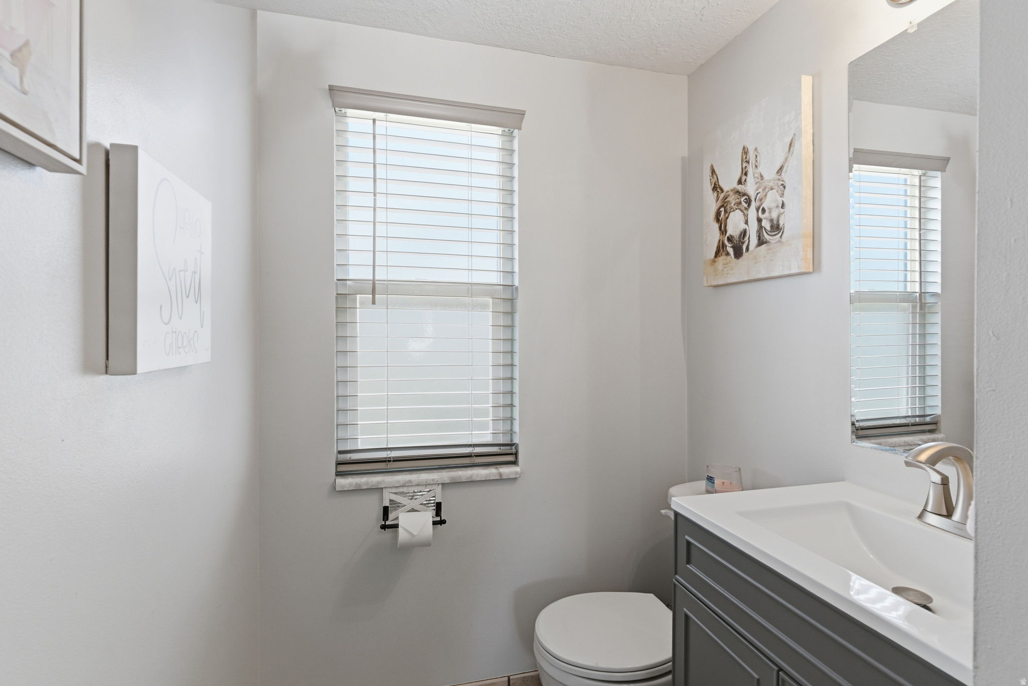 SHADOW RUN ESTATES - Residential