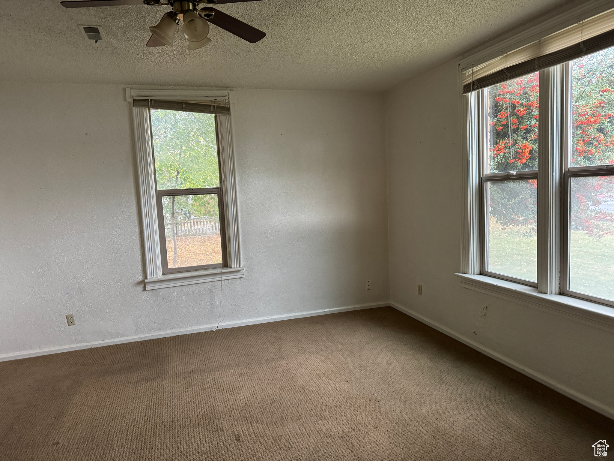 805 E 400, Springville, Utah image 5