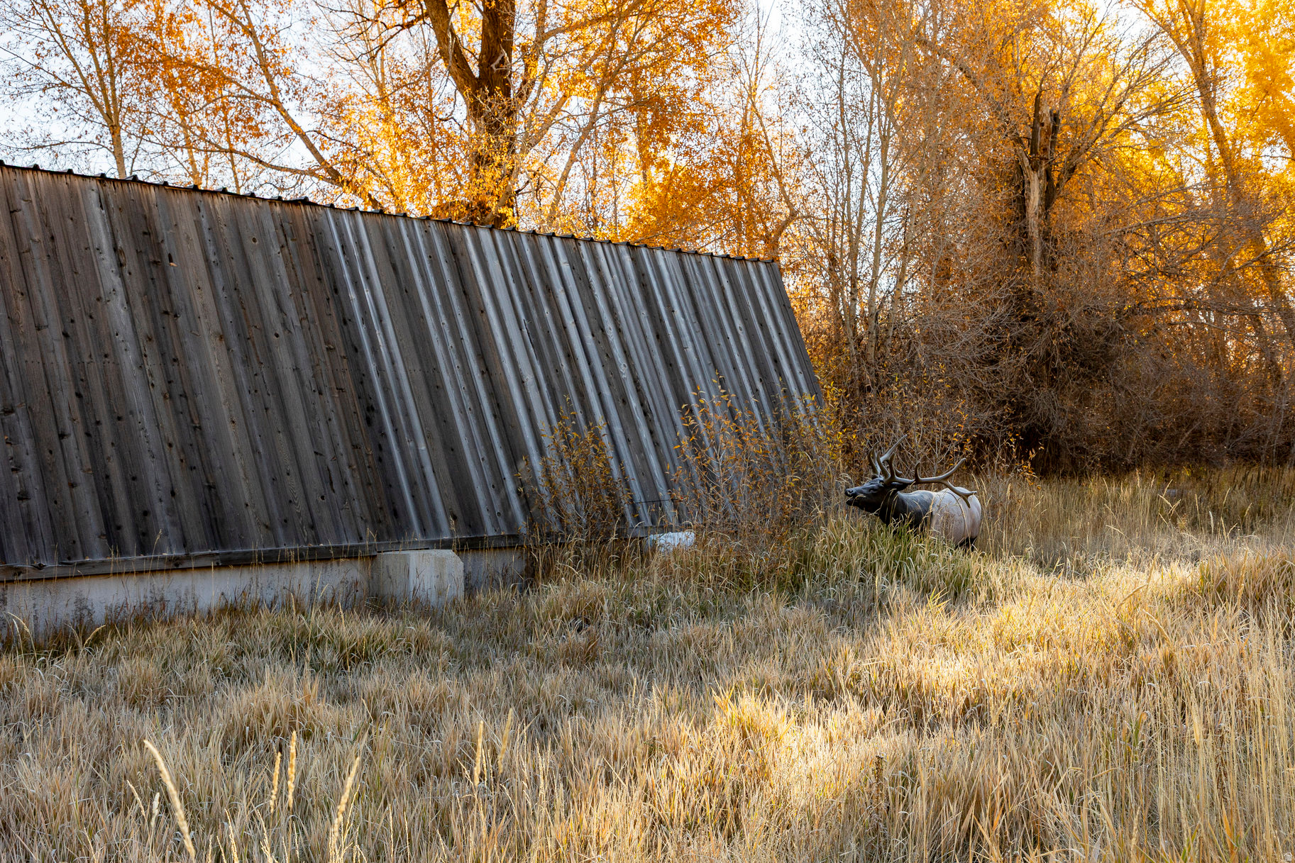 RIVER VALLEY RANCH - Residential