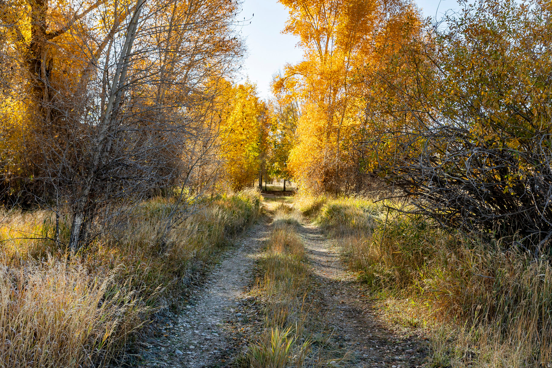 RIVER VALLEY RANCH - Residential