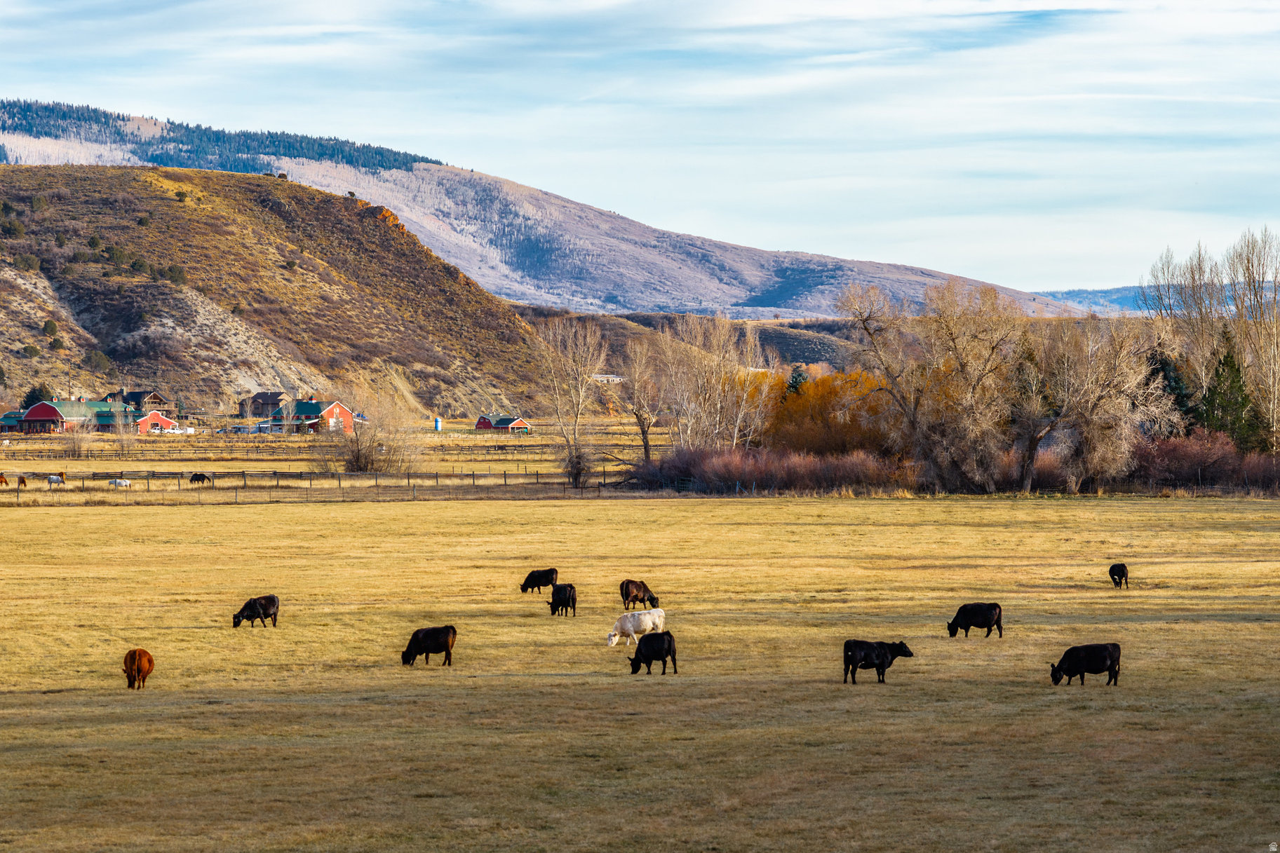 RIVER VALLEY RANCH - Residential
