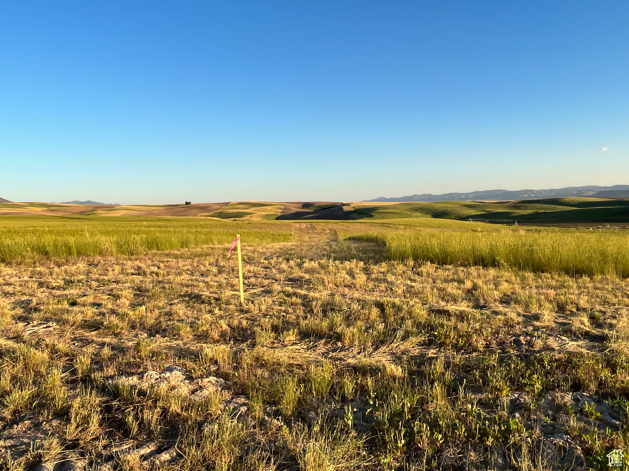 #3, American Falls, Idaho image 28