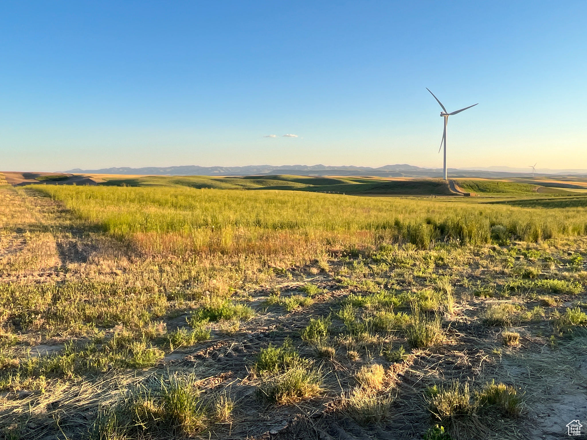 #3, American Falls, Idaho image 33