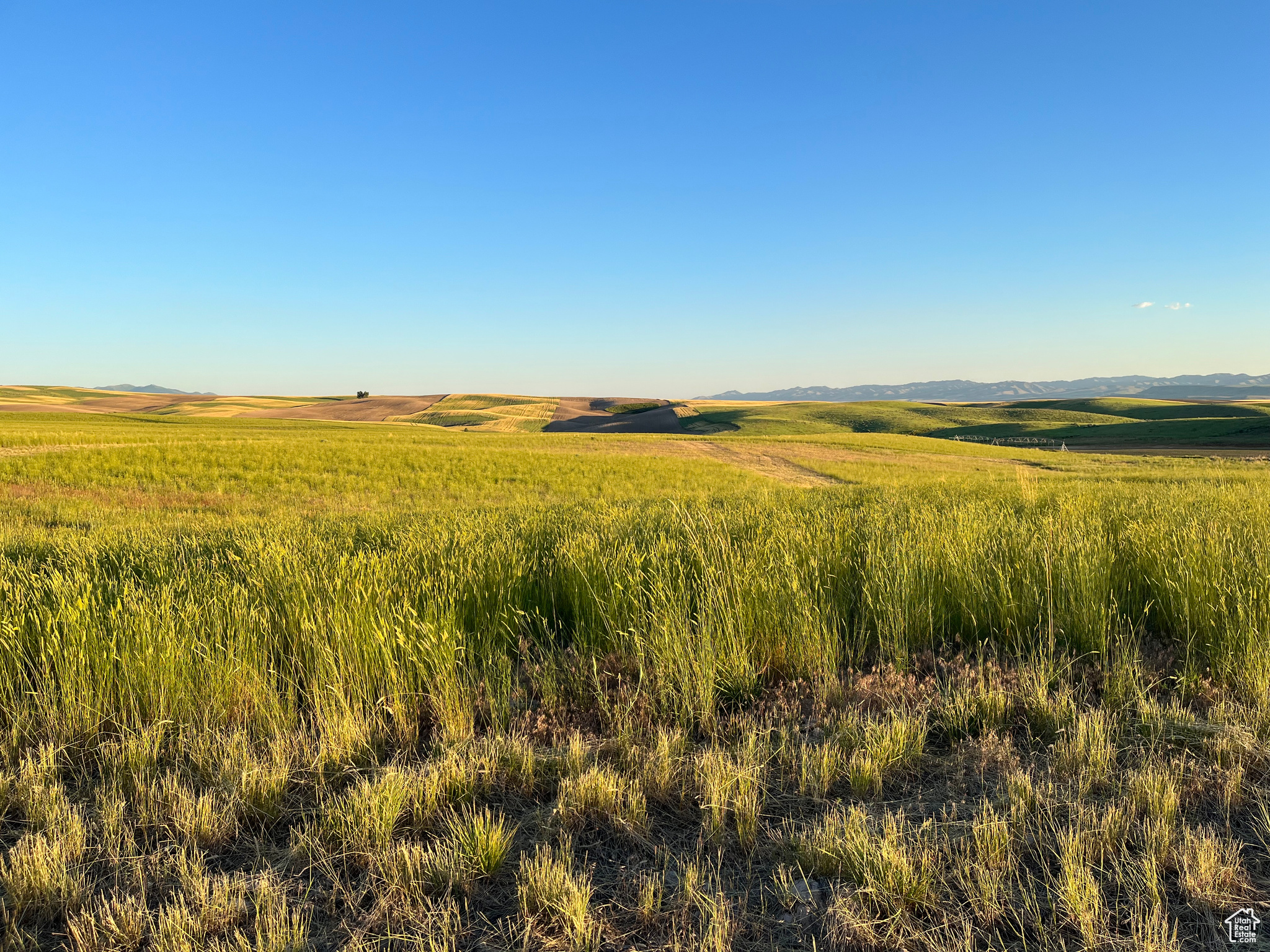 #3, American Falls, Idaho image 30