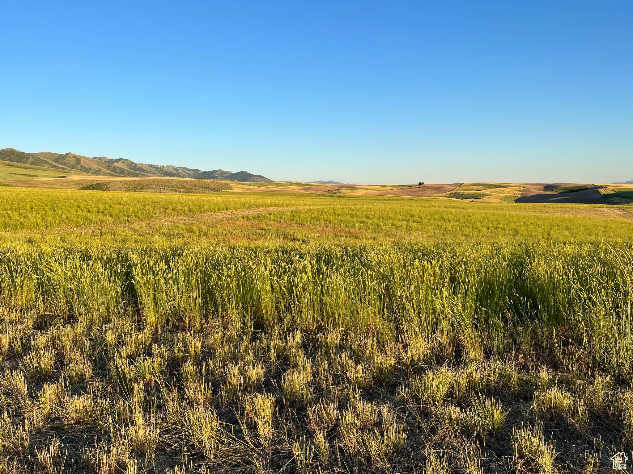 #3, American Falls, Idaho image 31