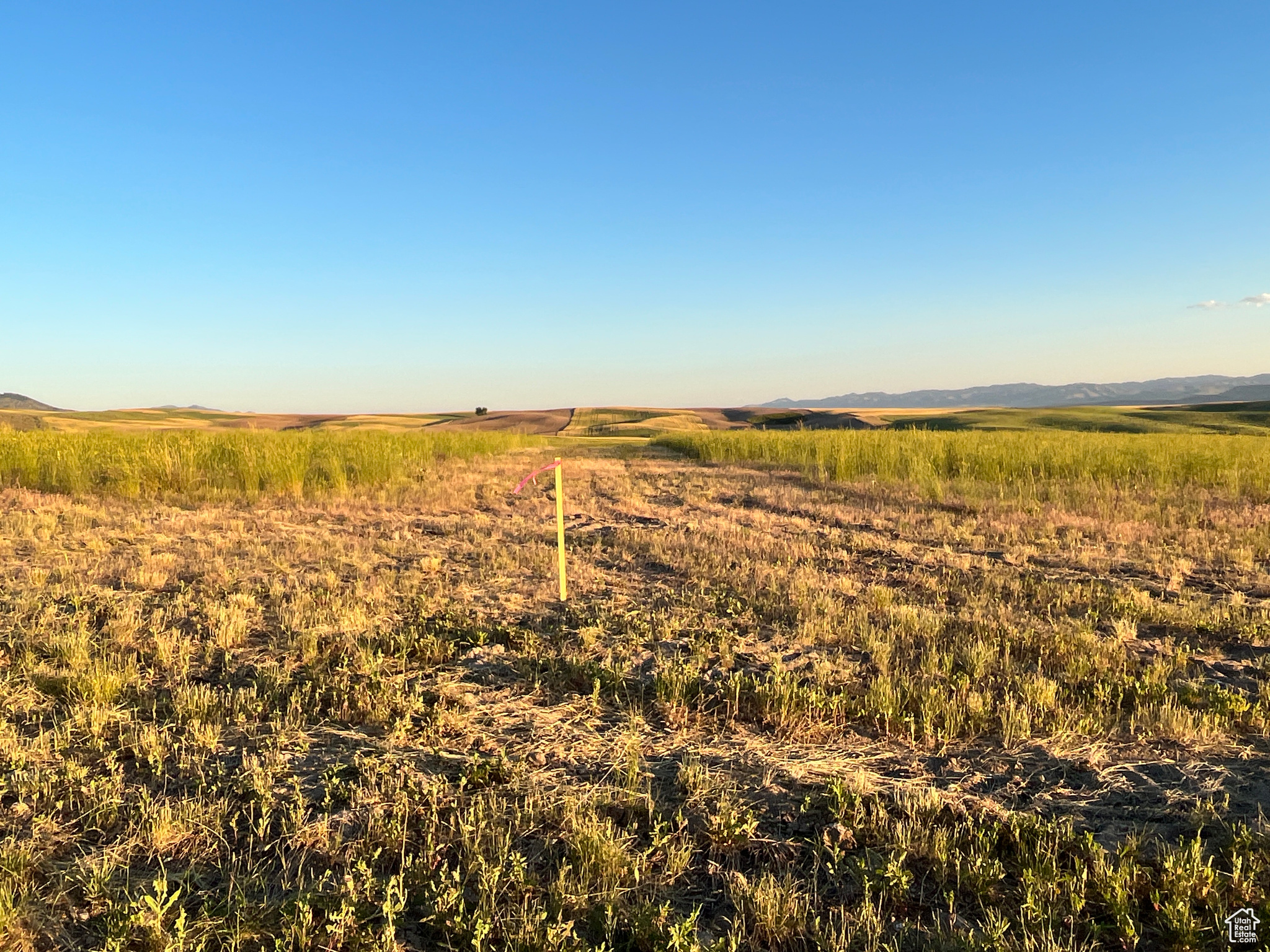 #3, American Falls, Idaho image 35