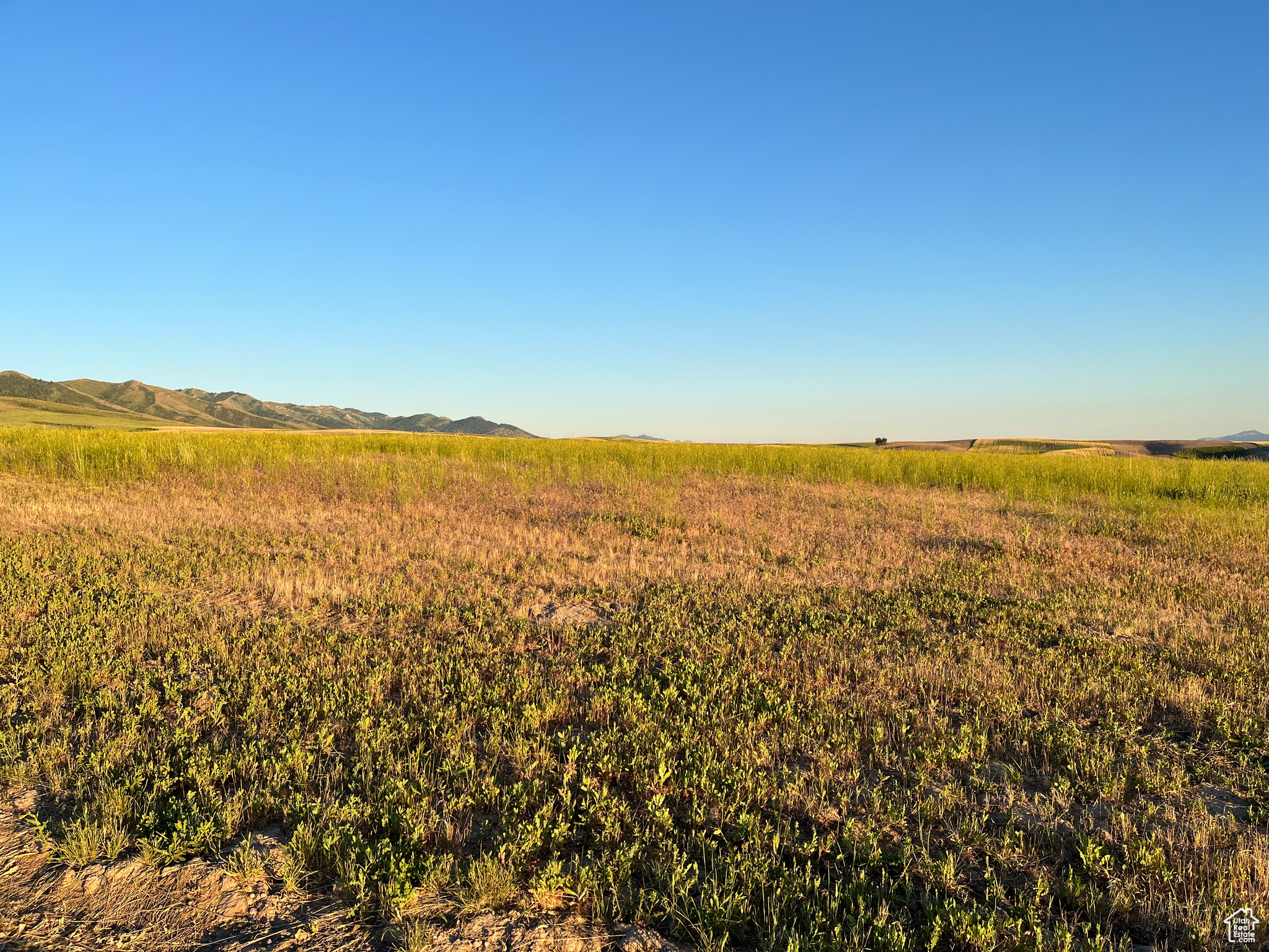 #3, American Falls, Idaho image 34