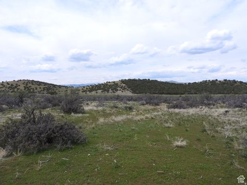 Vacant Land For Sale - Land<br/> Sanpete County, Mt Pleasant, UT 84647