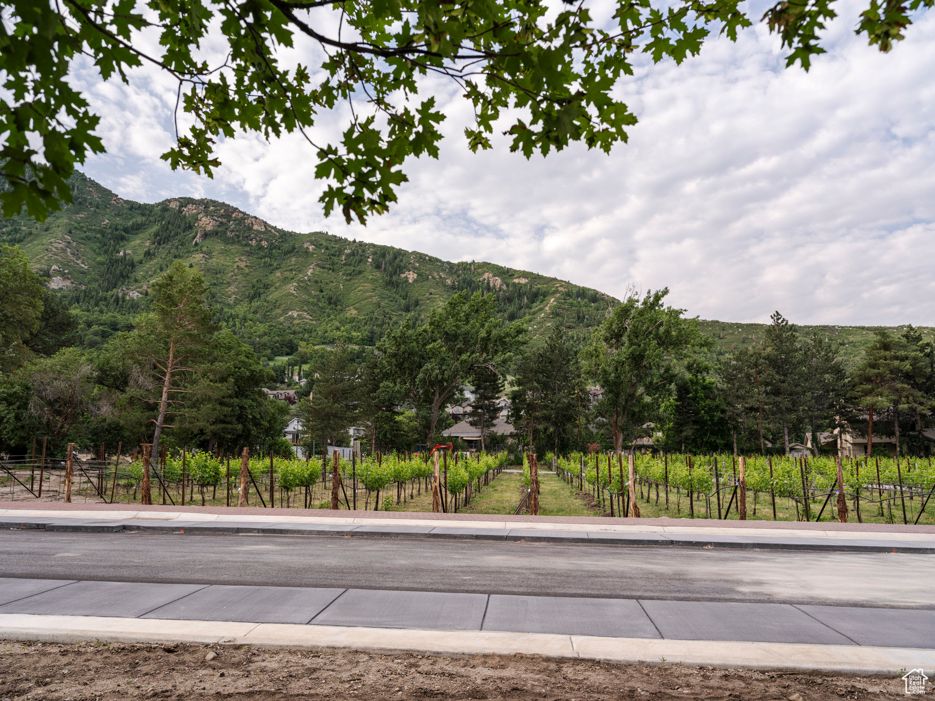 3759 E Quail Hill Ln #103, Sandy, Utah image 7