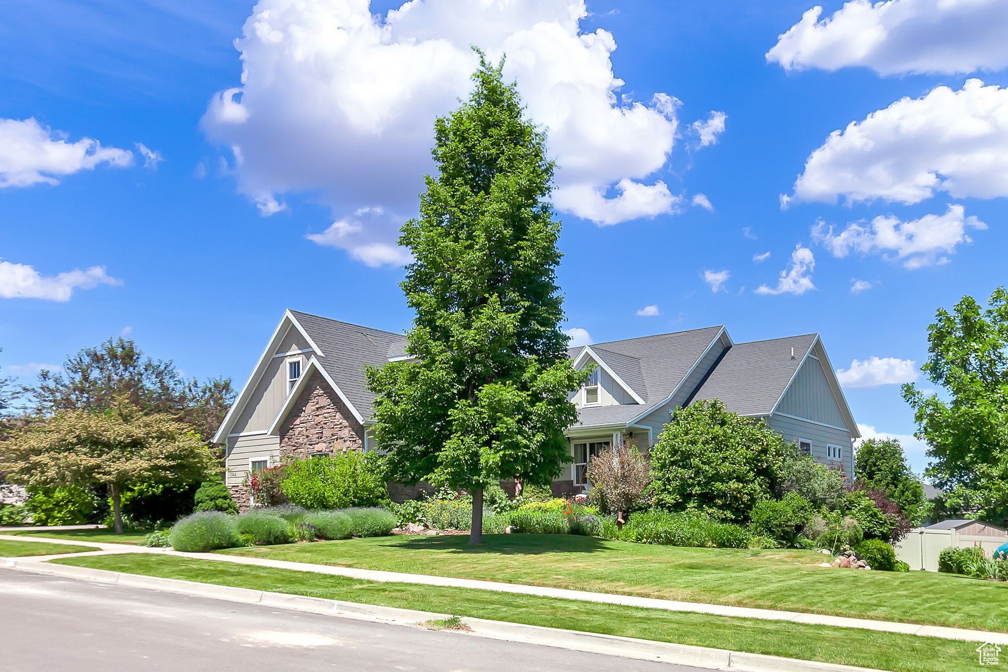 RIDGE - Residential