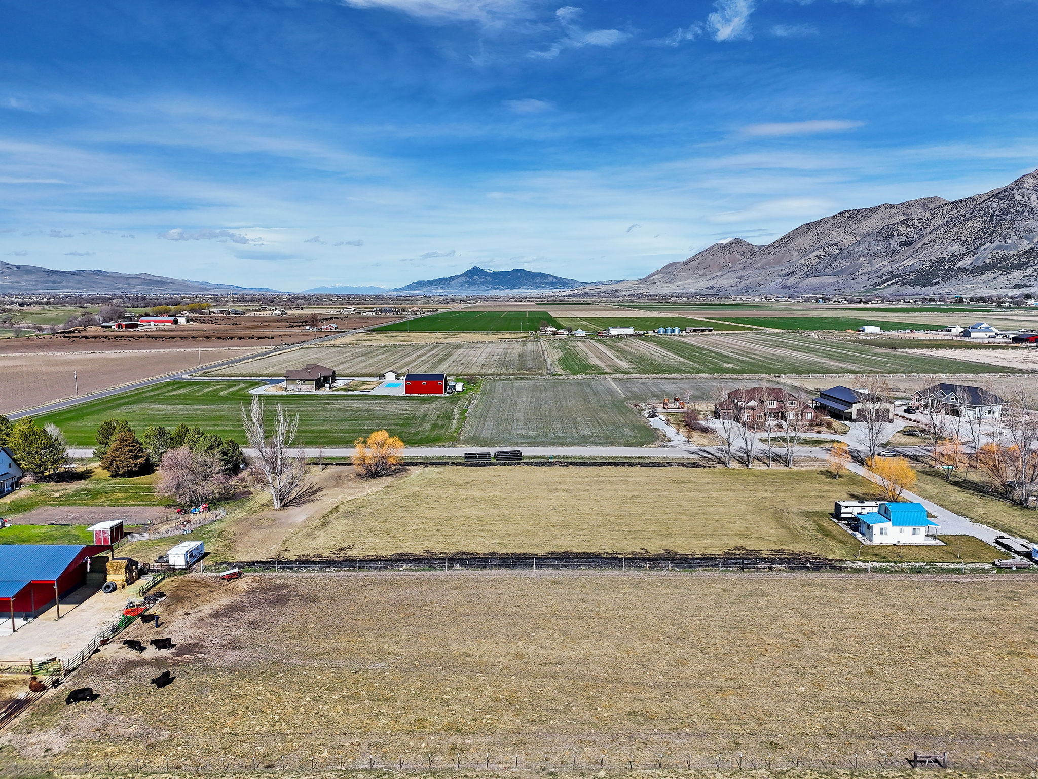 WINDY POPLARS 1 SUBDIVISION FIRST AMENDMENT - Land