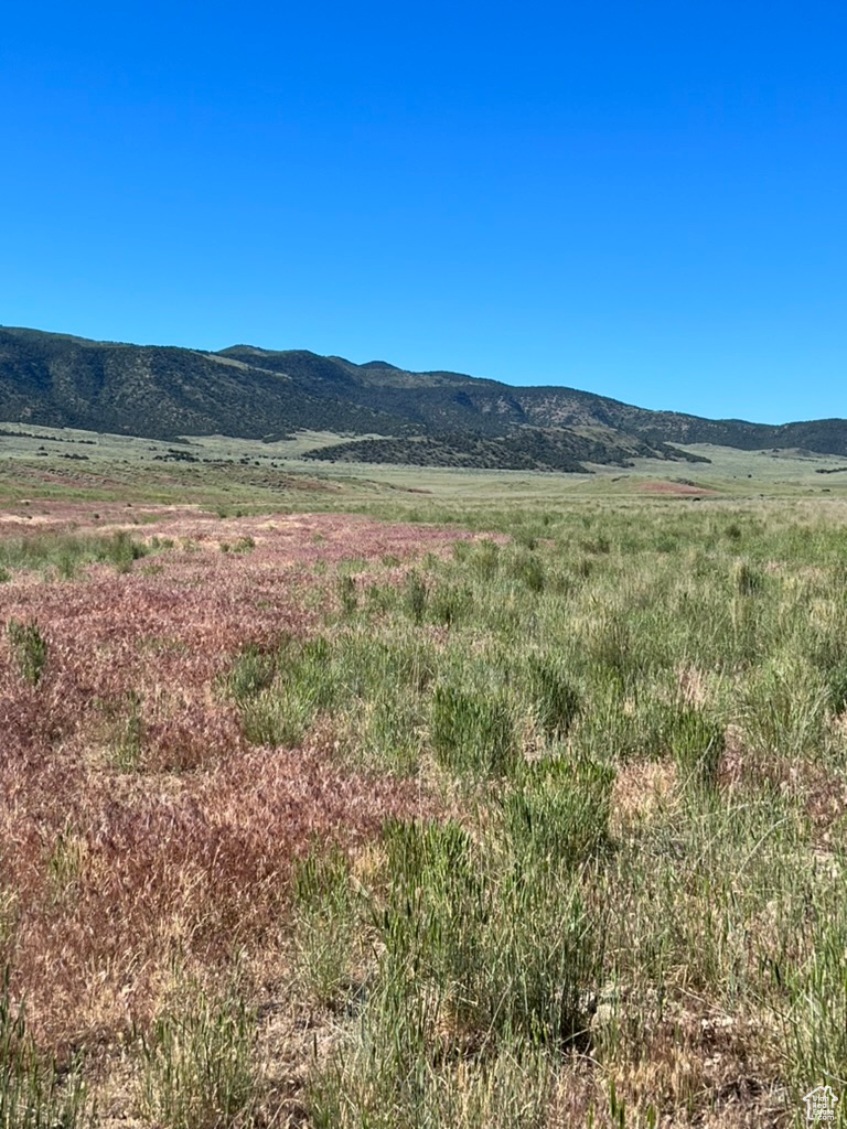 Land, Levan, Utah image 3