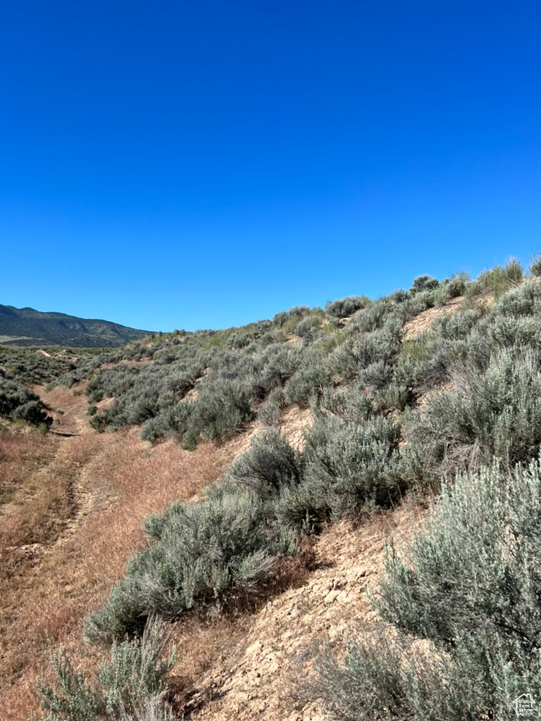 Land, Levan, Utah image 2