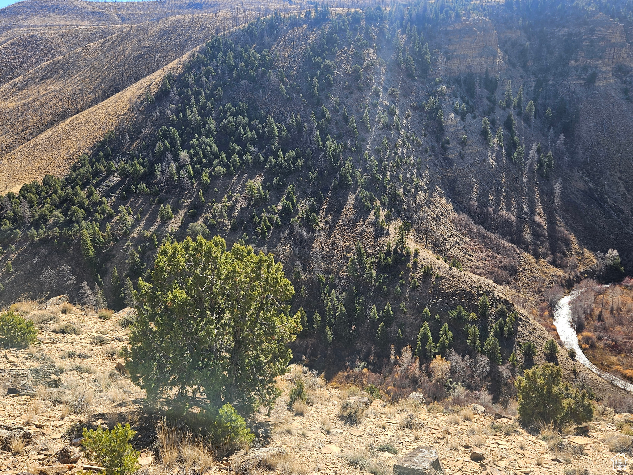 RED CREEK RANCHES - Residential