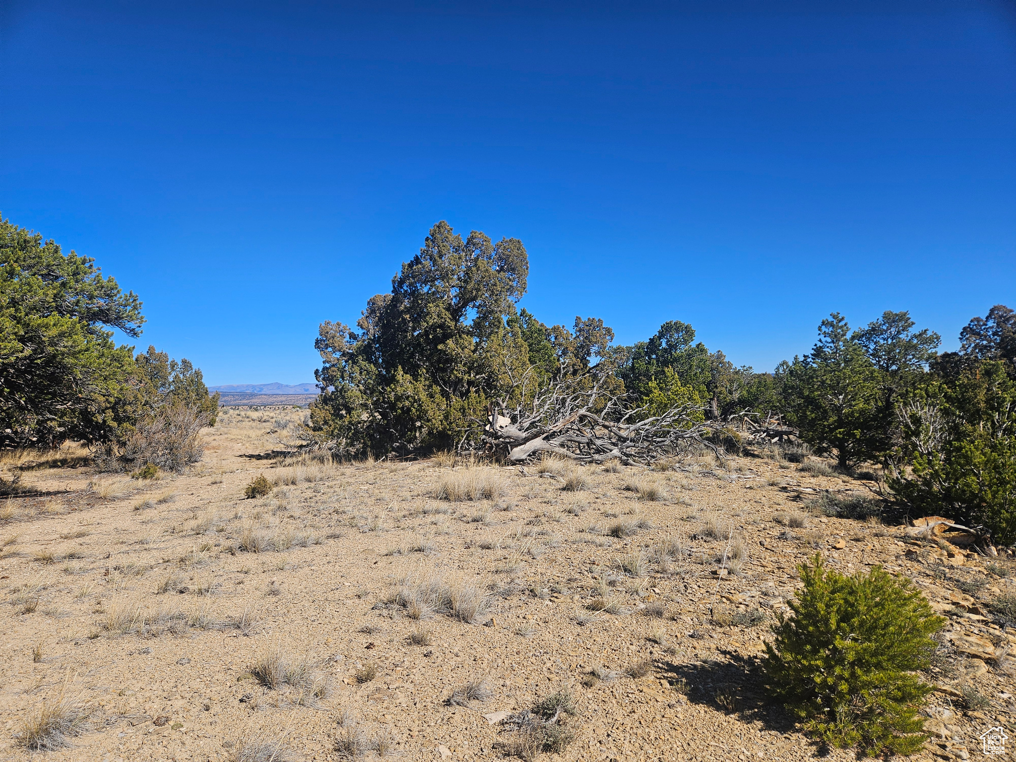 RED CREEK RANCHES - Residential