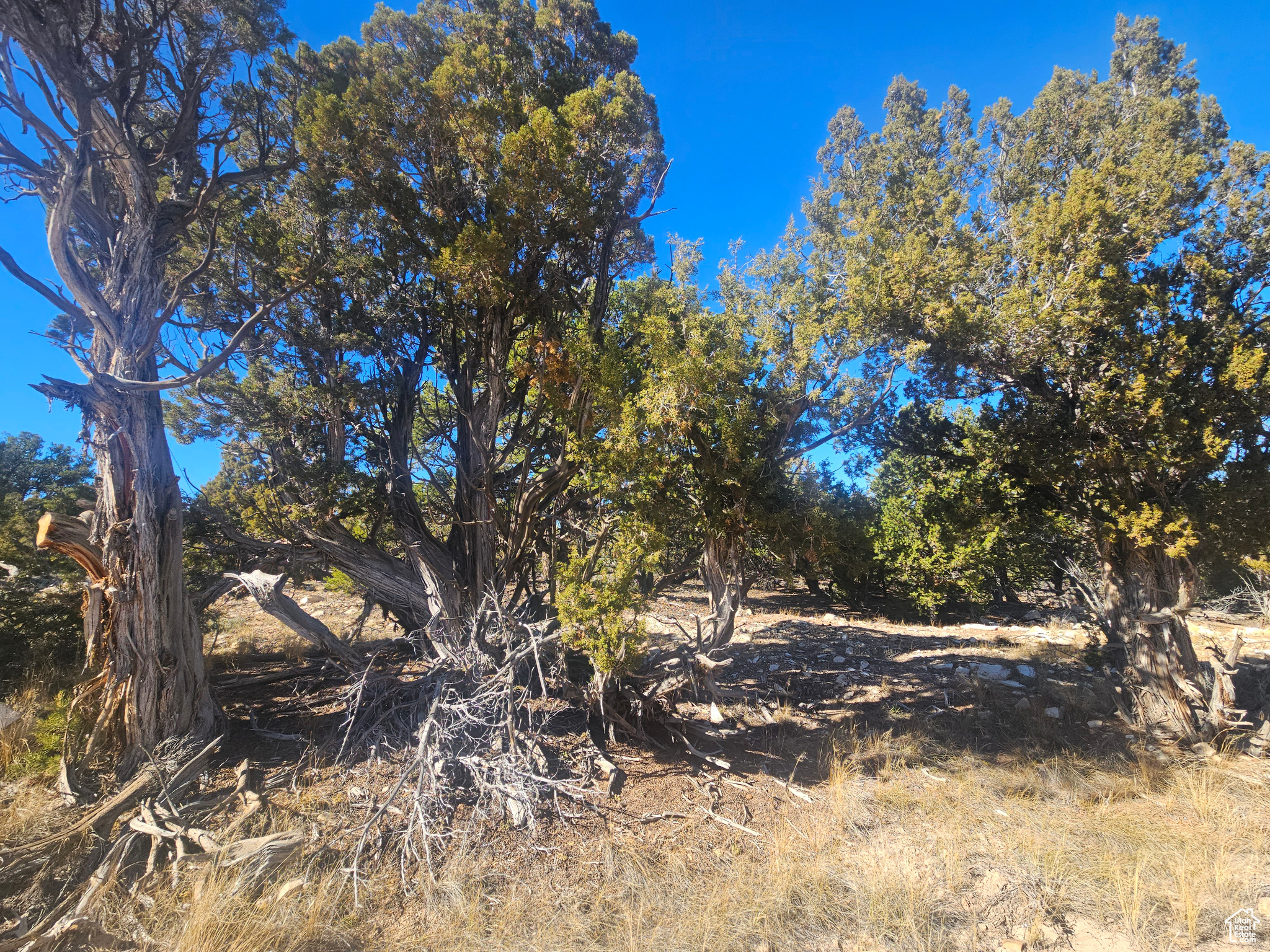 RED CREEK RANCHES - Residential