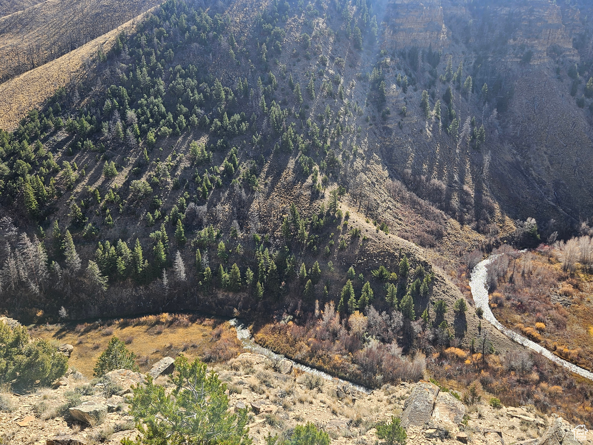 RED CREEK RANCHES - Residential