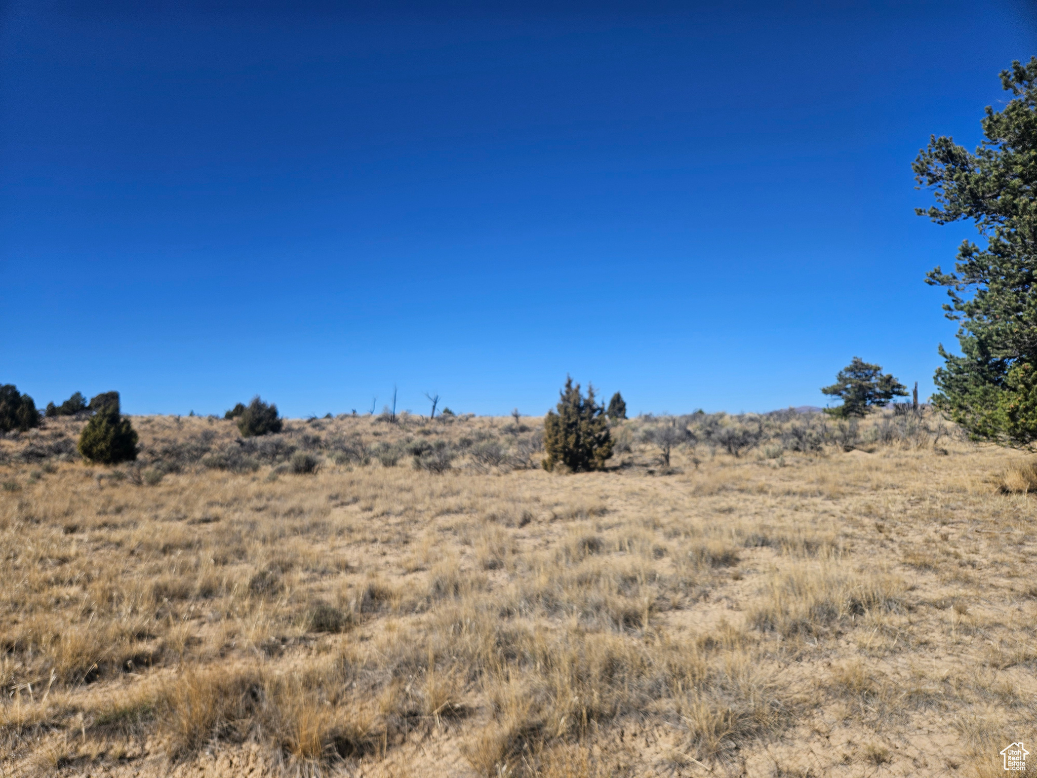 RED CREEK RANCHES - Residential