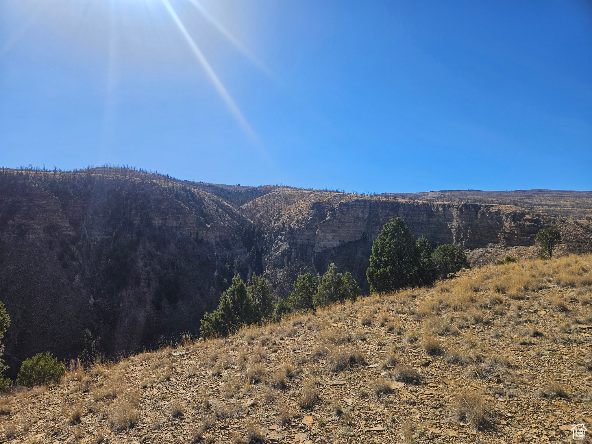 RED CREEK RANCHES - Residential