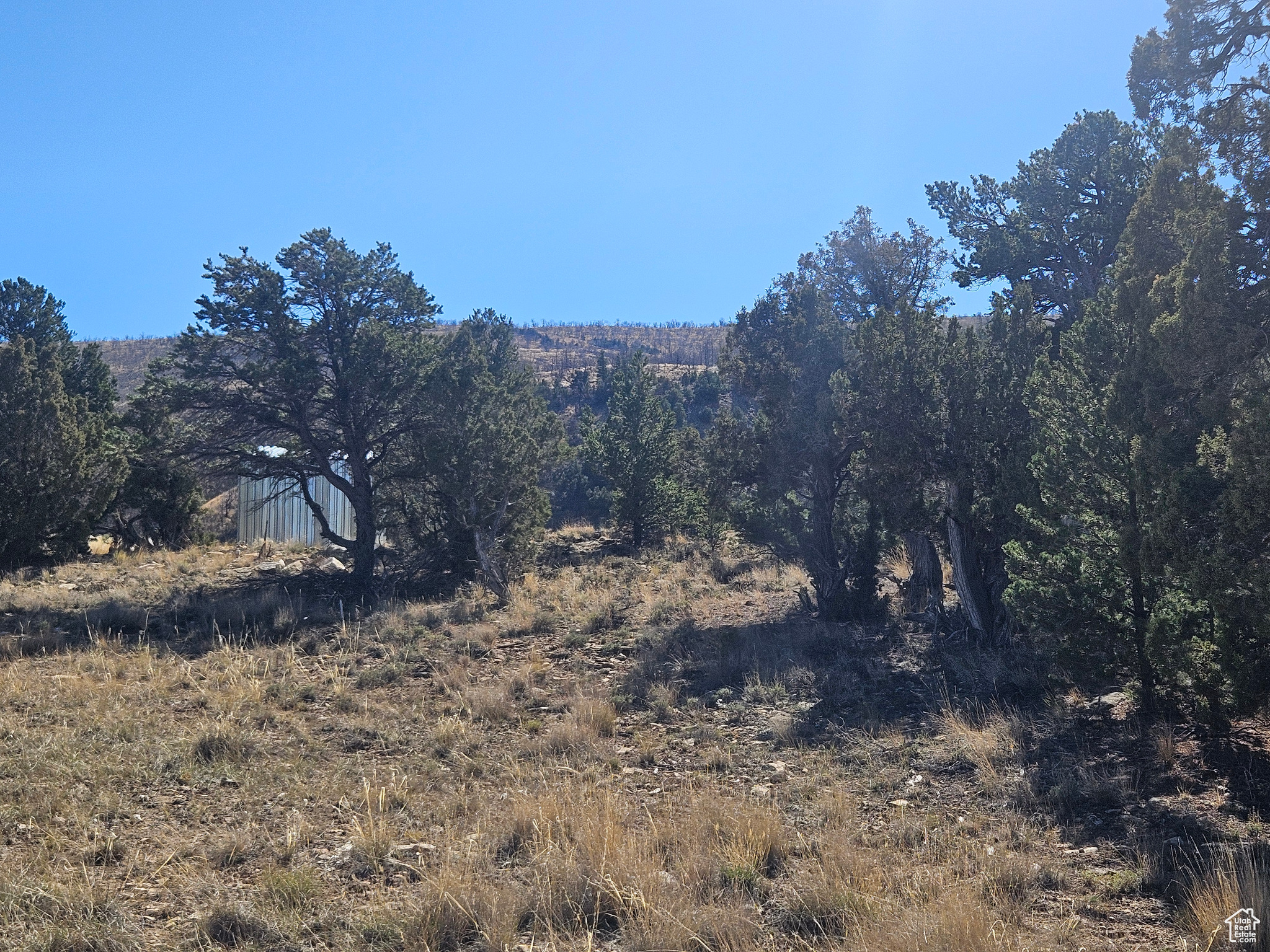 RED CREEK RANCHES - Residential