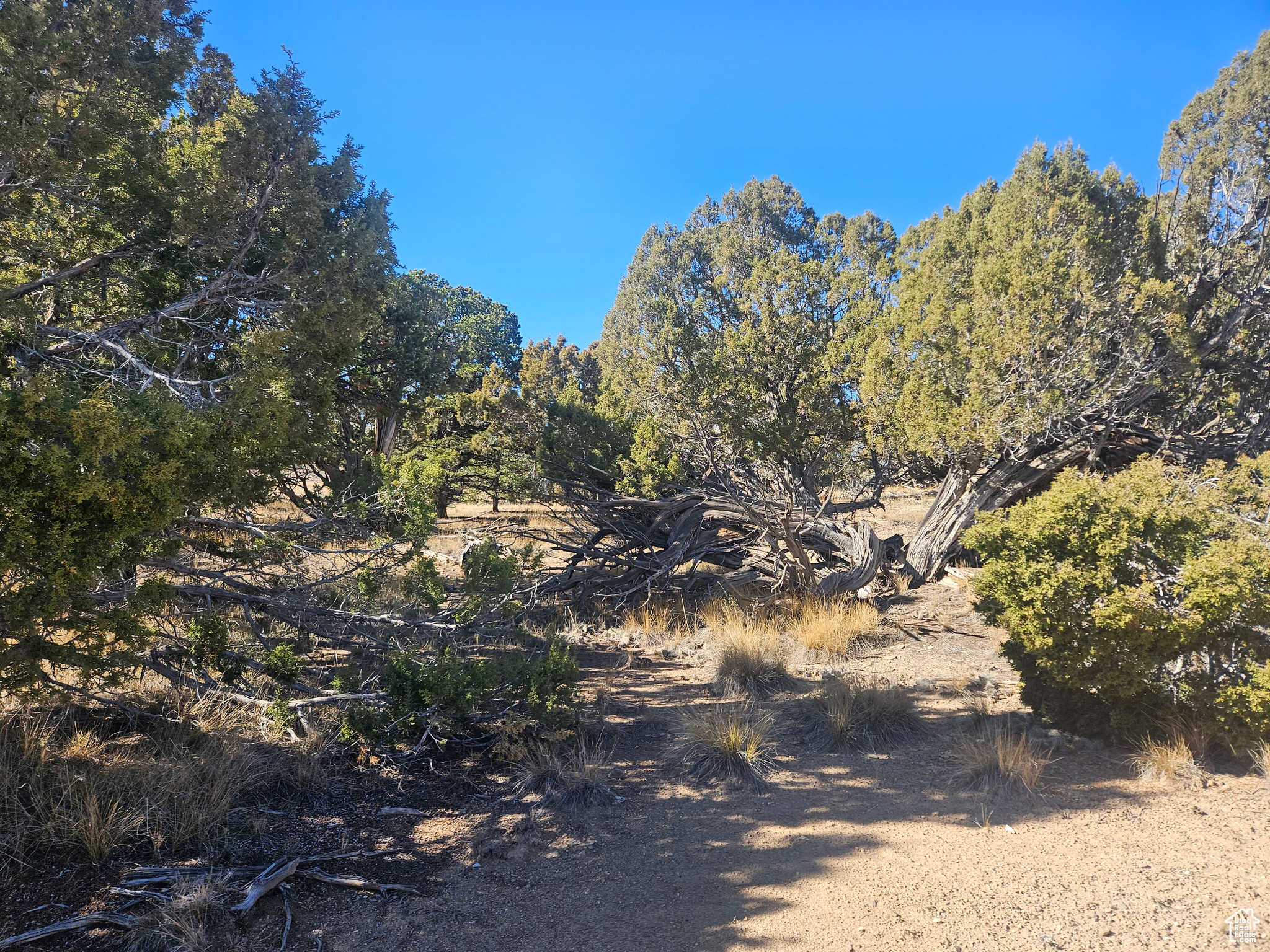 RED CREEK RANCHES - Residential