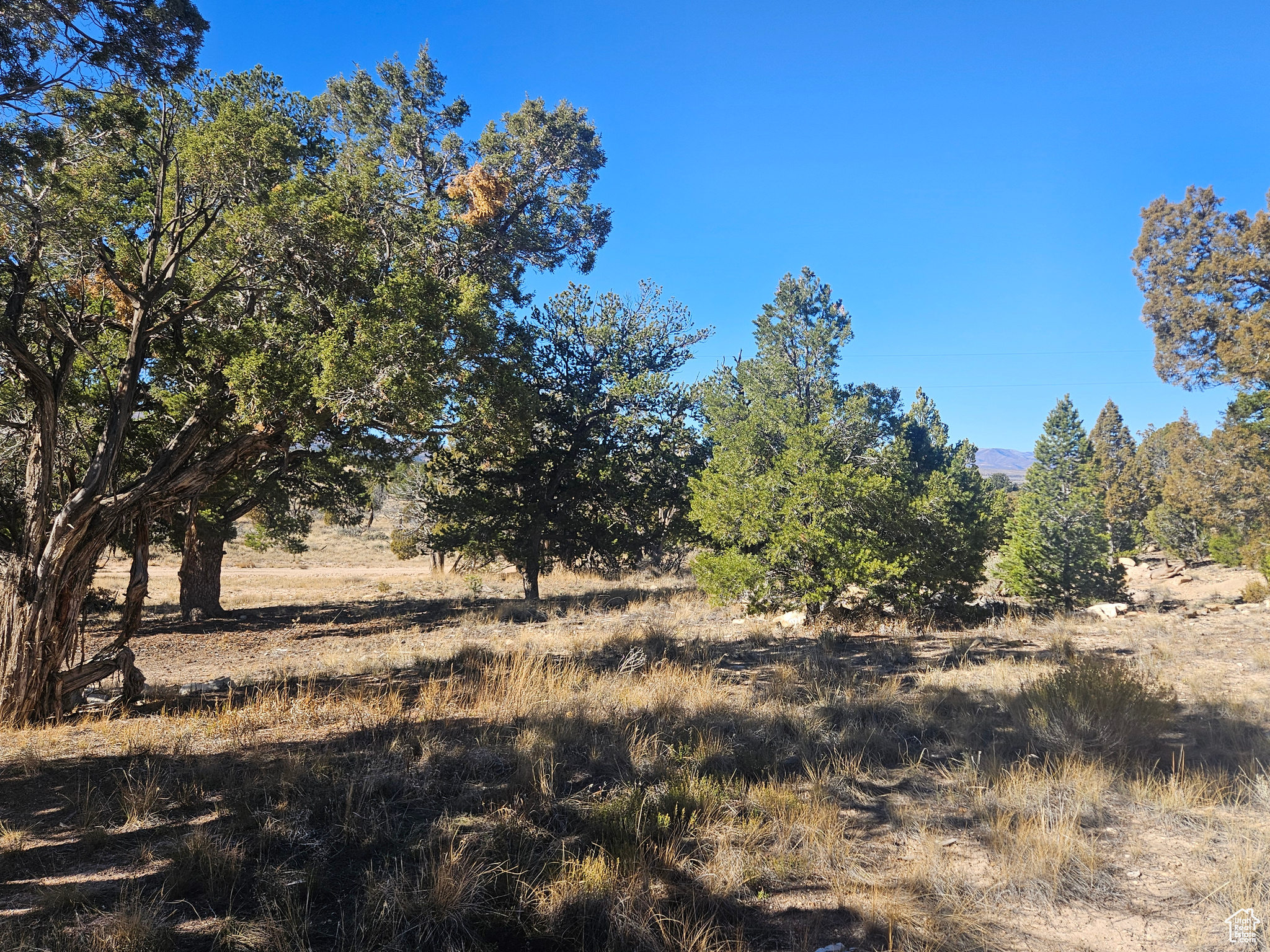 RED CREEK RANCHES - Residential