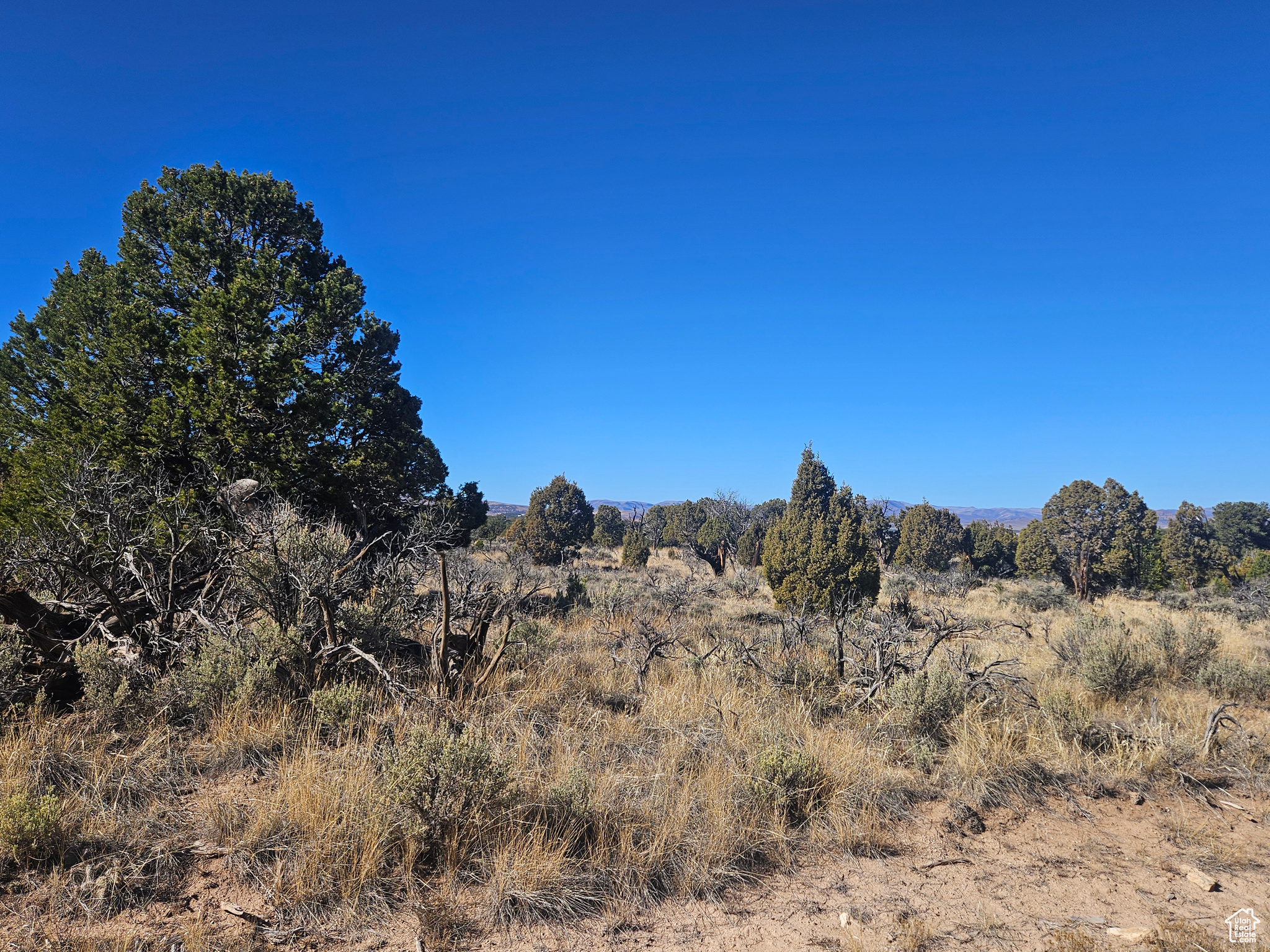 RED CREEK RANCHES - Residential