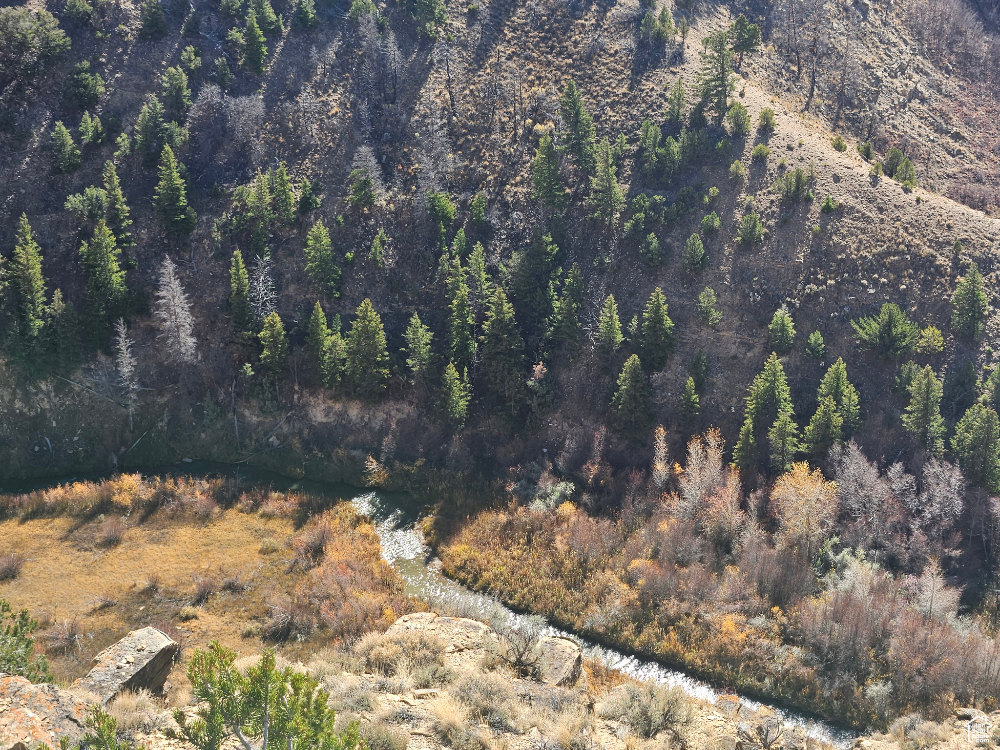 RED CREEK RANCHES - Residential