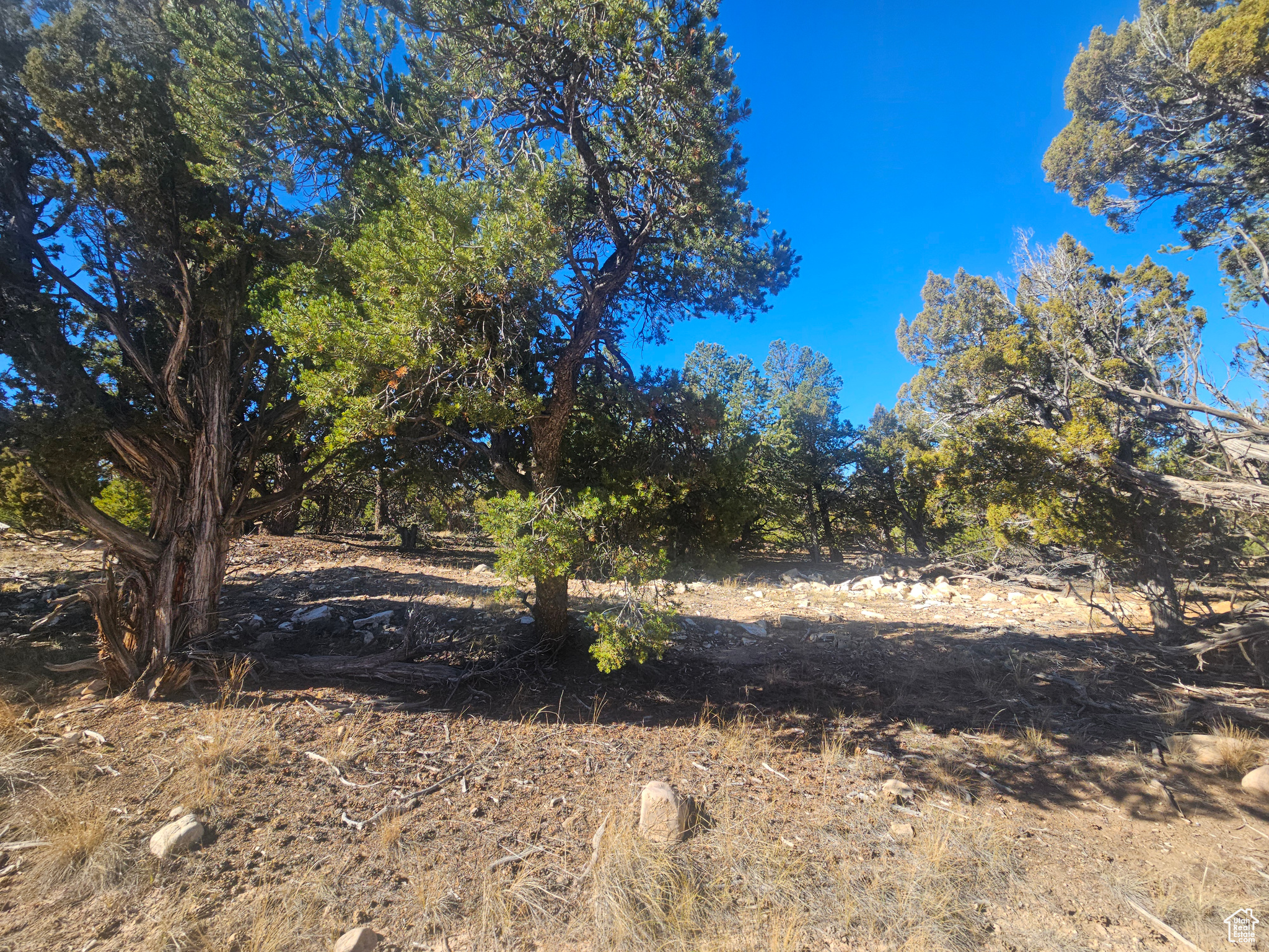 RED CREEK RANCHES - Residential