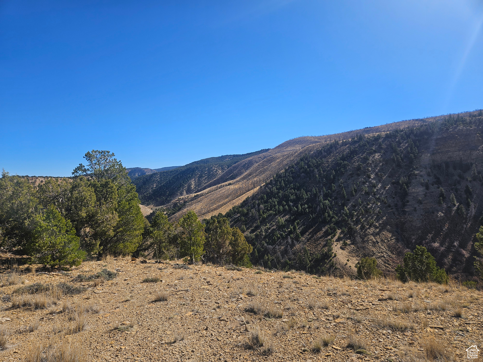 RED CREEK RANCHES - Residential