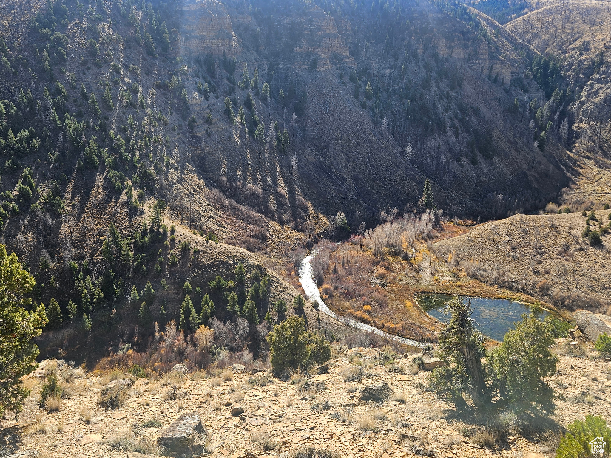 RED CREEK RANCHES - Residential